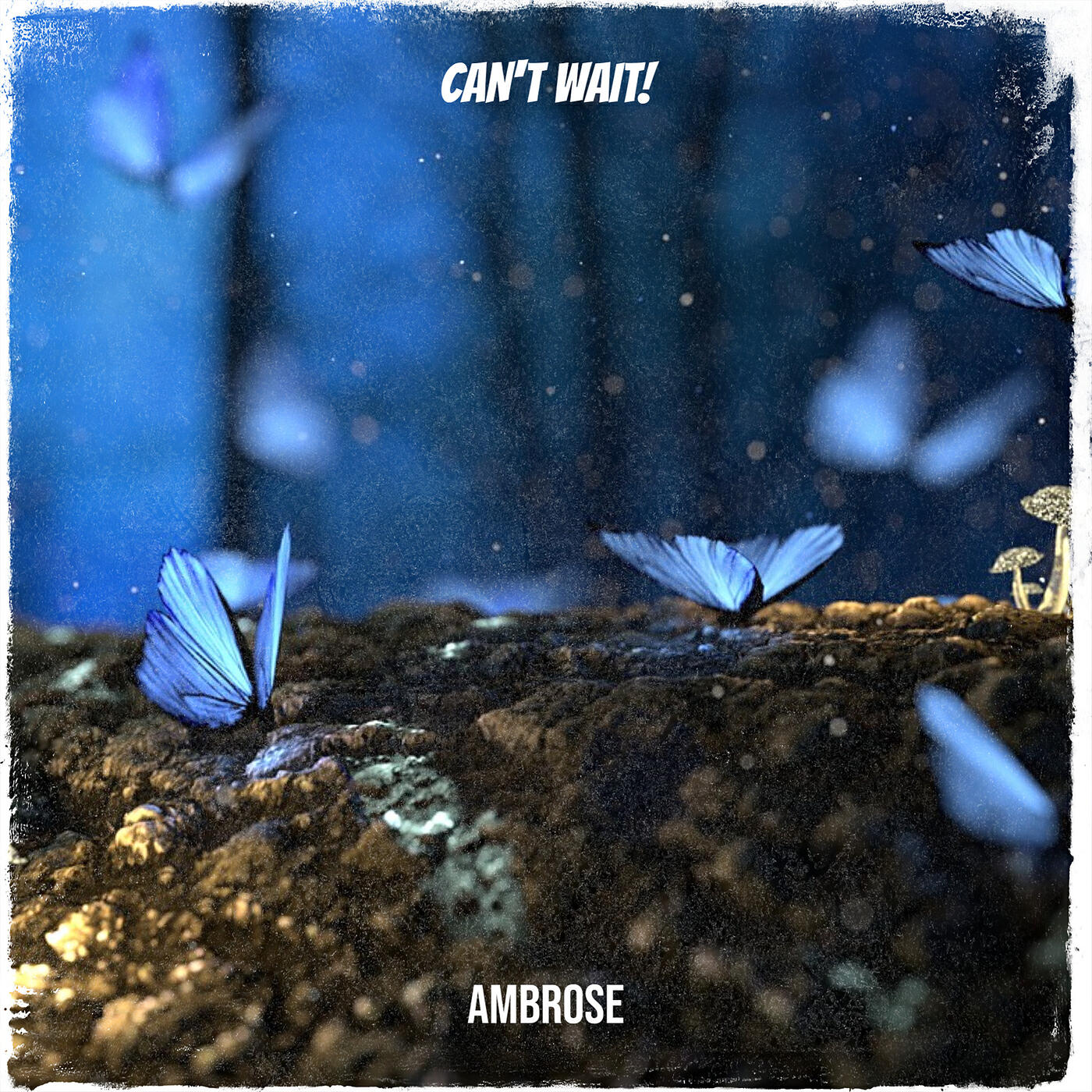 Ambrose - Can't Wait!