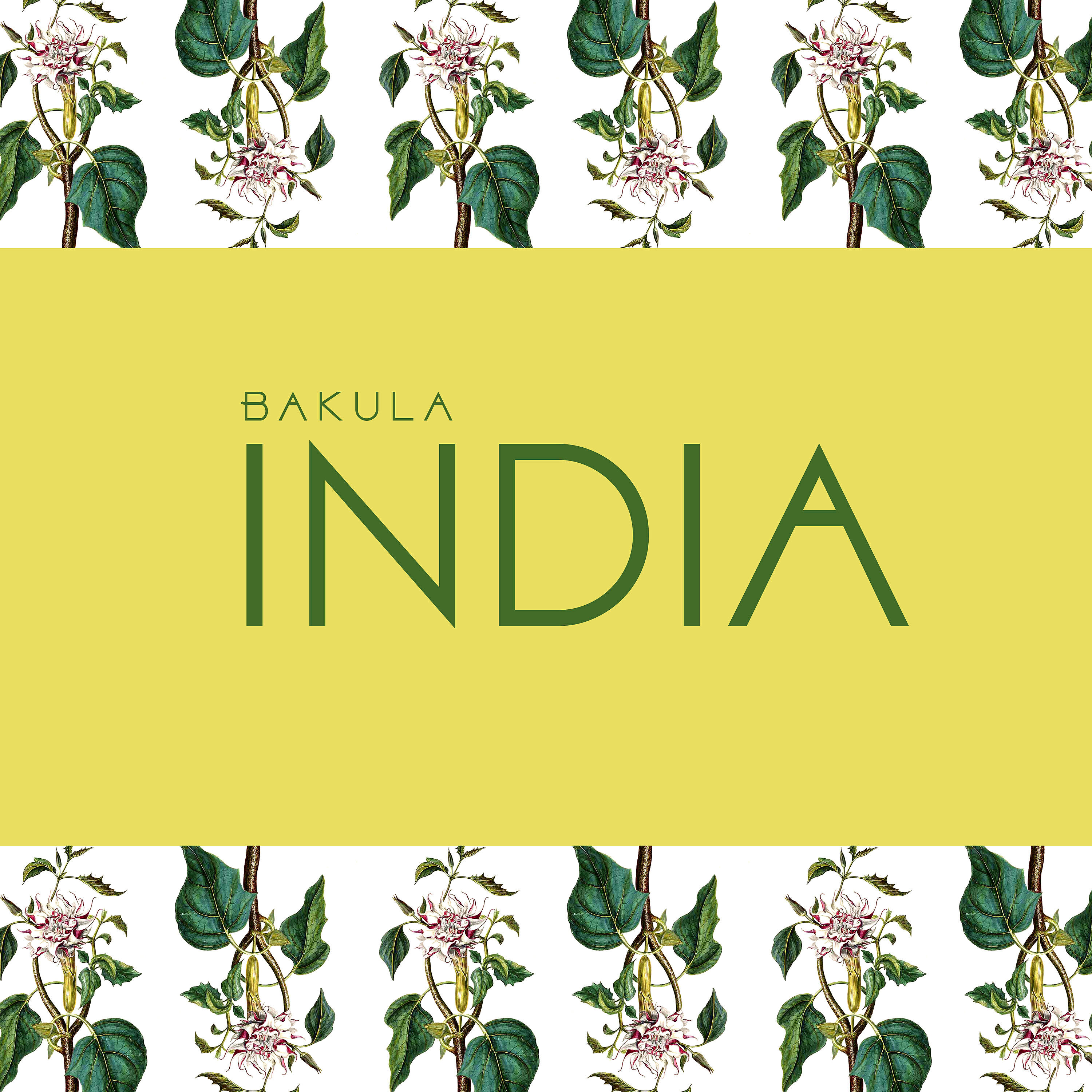 Релиз India