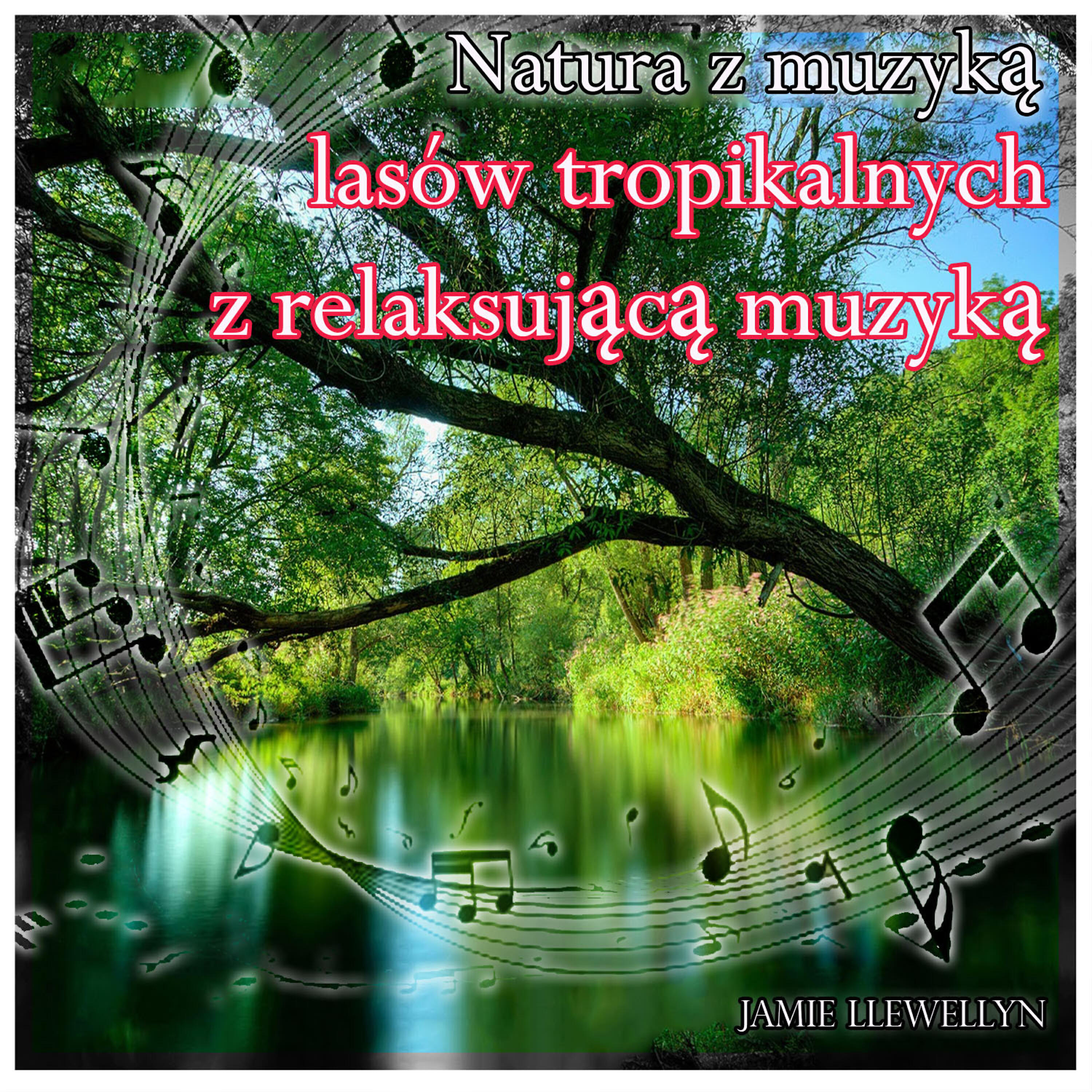 Релиз Natura z muzyką: lasów tropikalnych z relaksującą muzyką