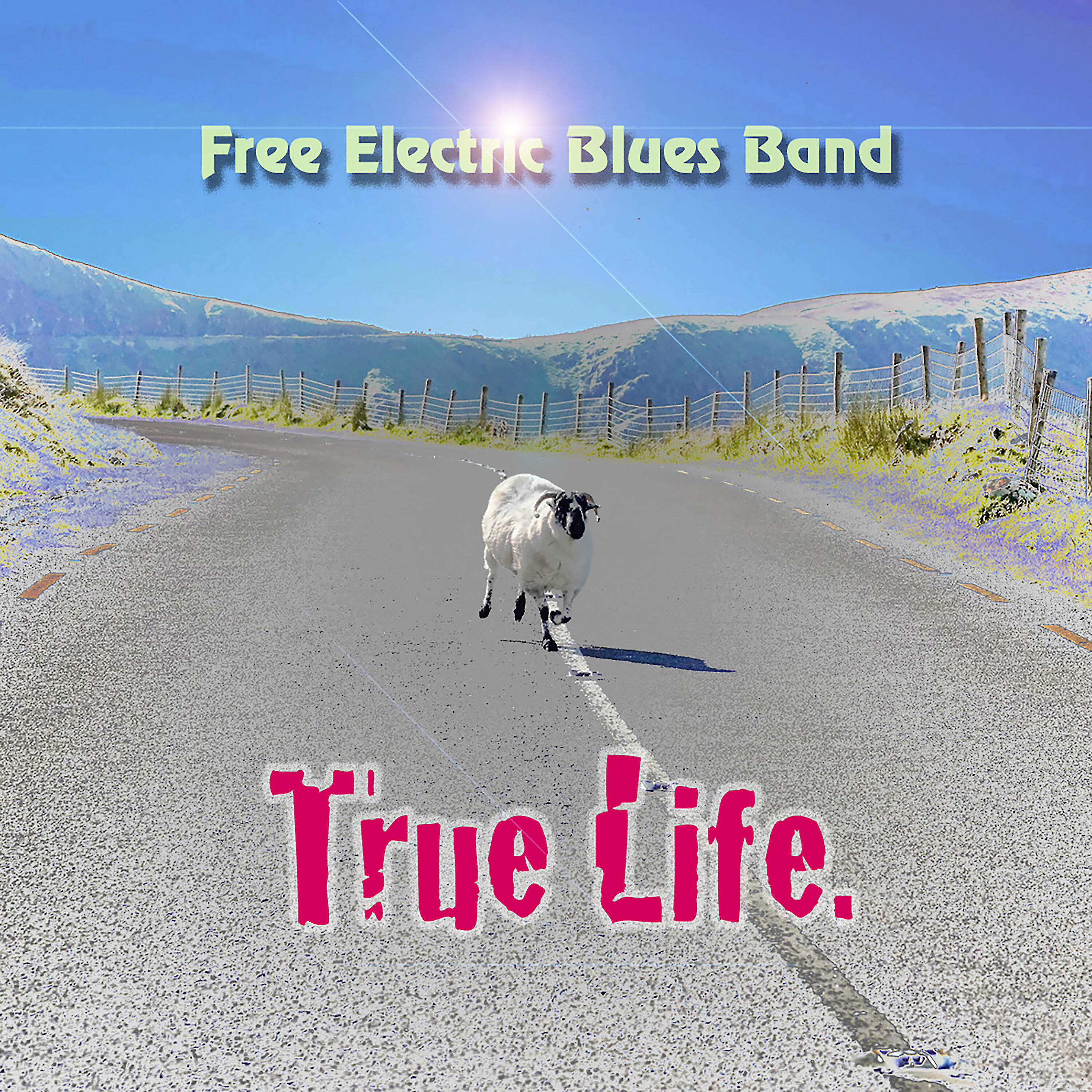 Free Electric Blues Band