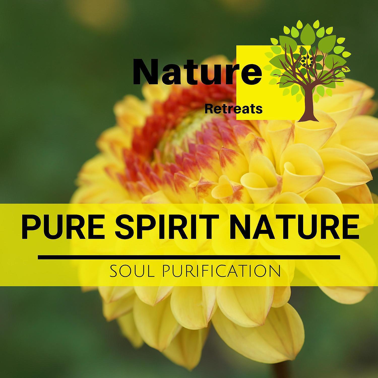 Релиз Pure Spirit Nature - Soul Purification