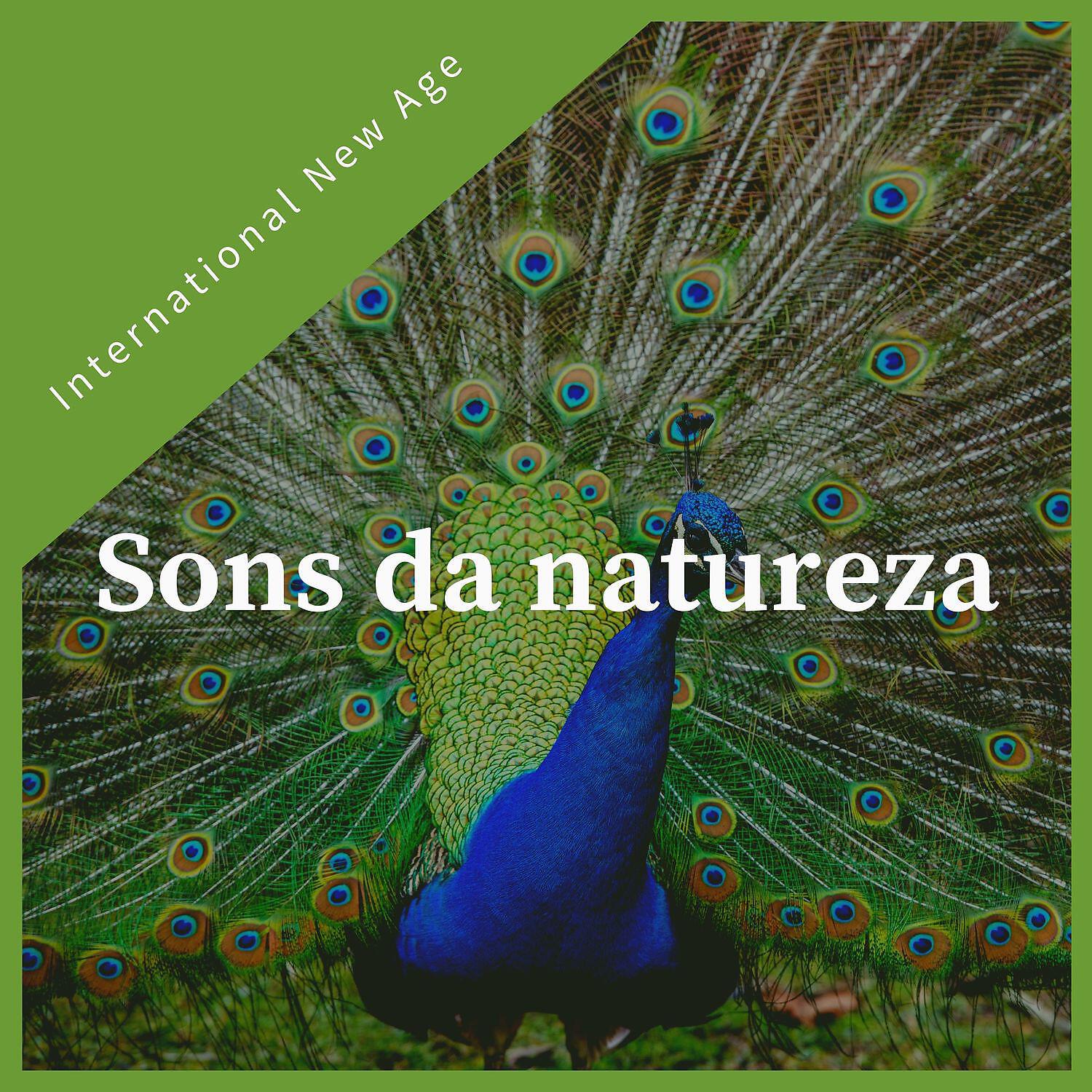 Релиз Sons da natureza - música nova era calma