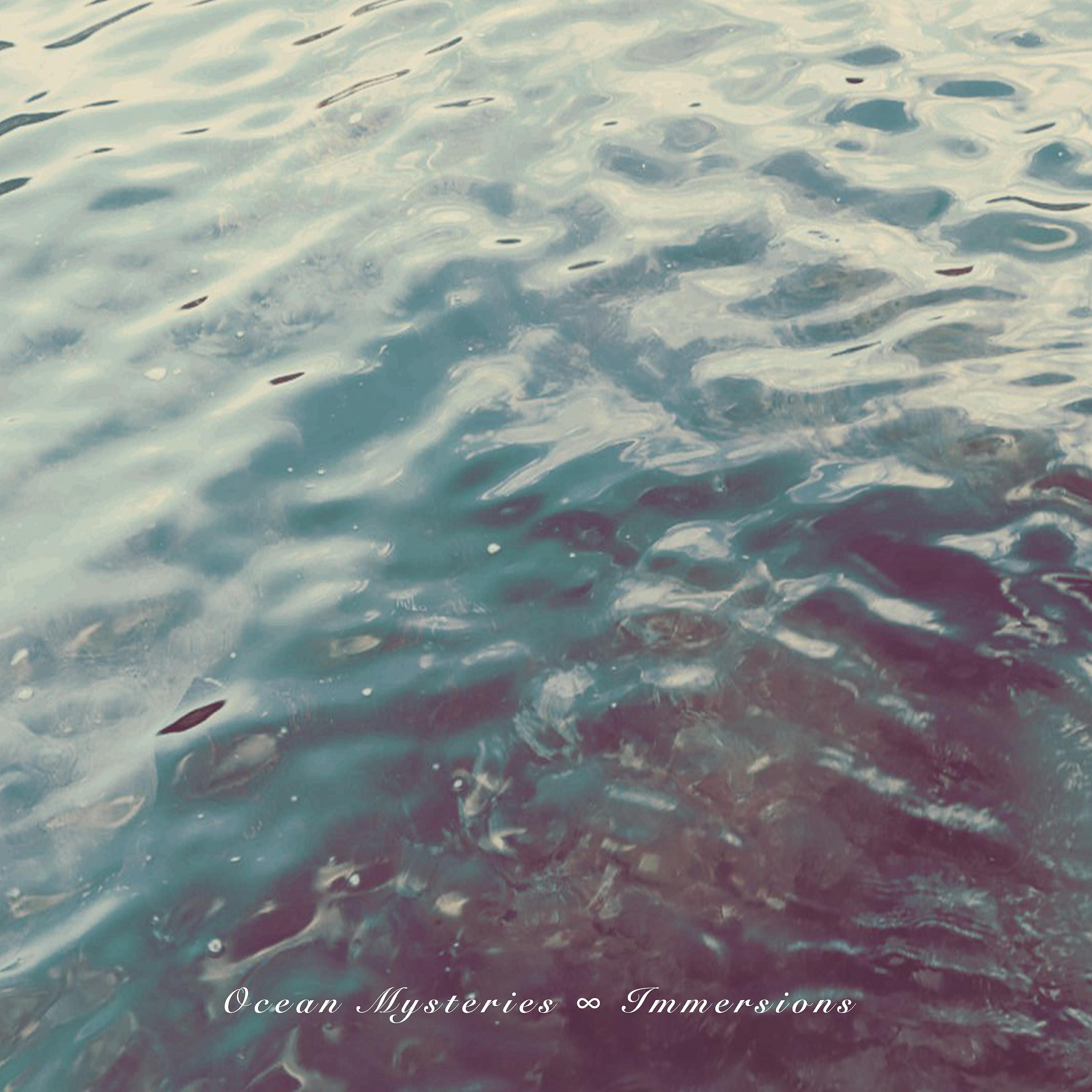 Релиз Immersions