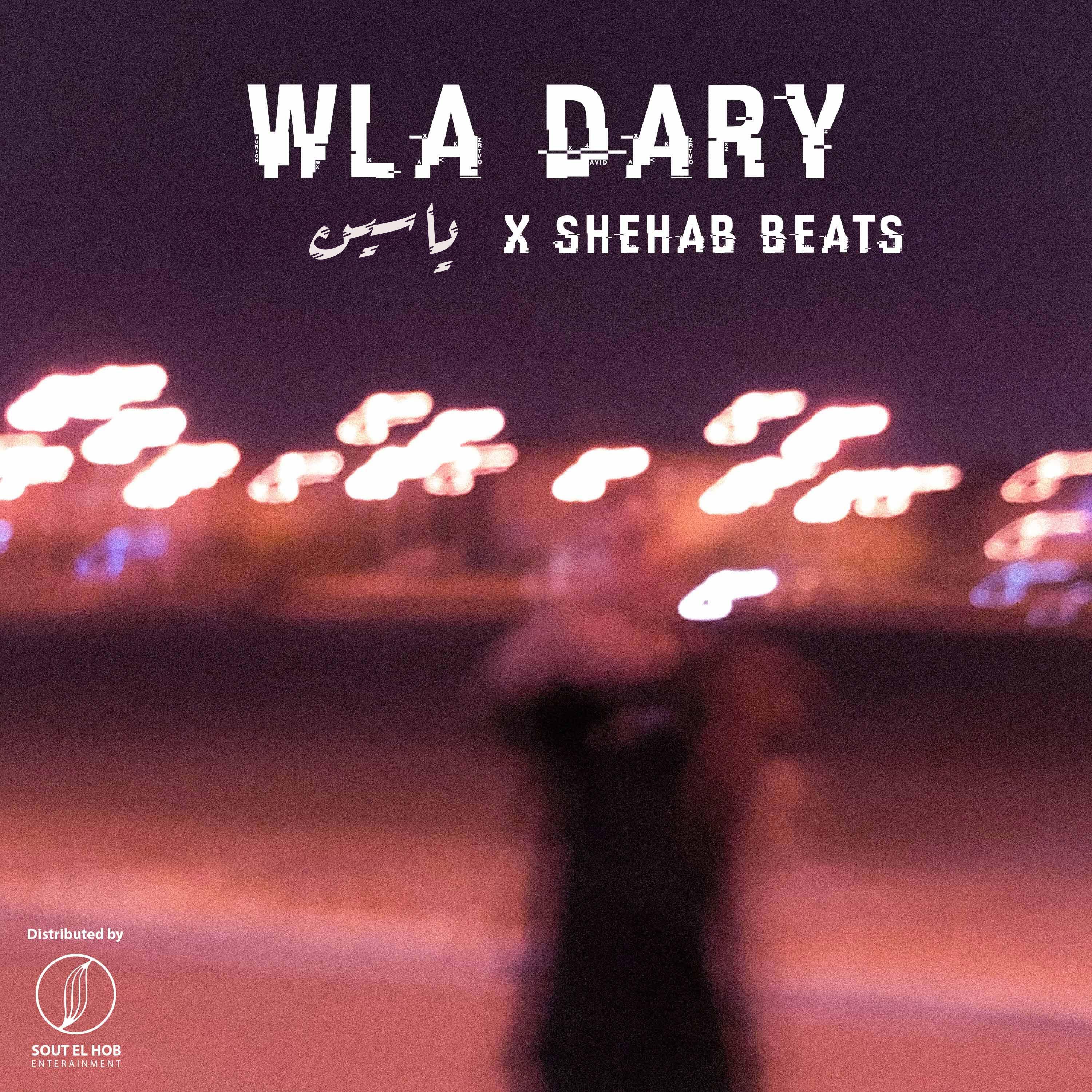 Релиз WLA DARY