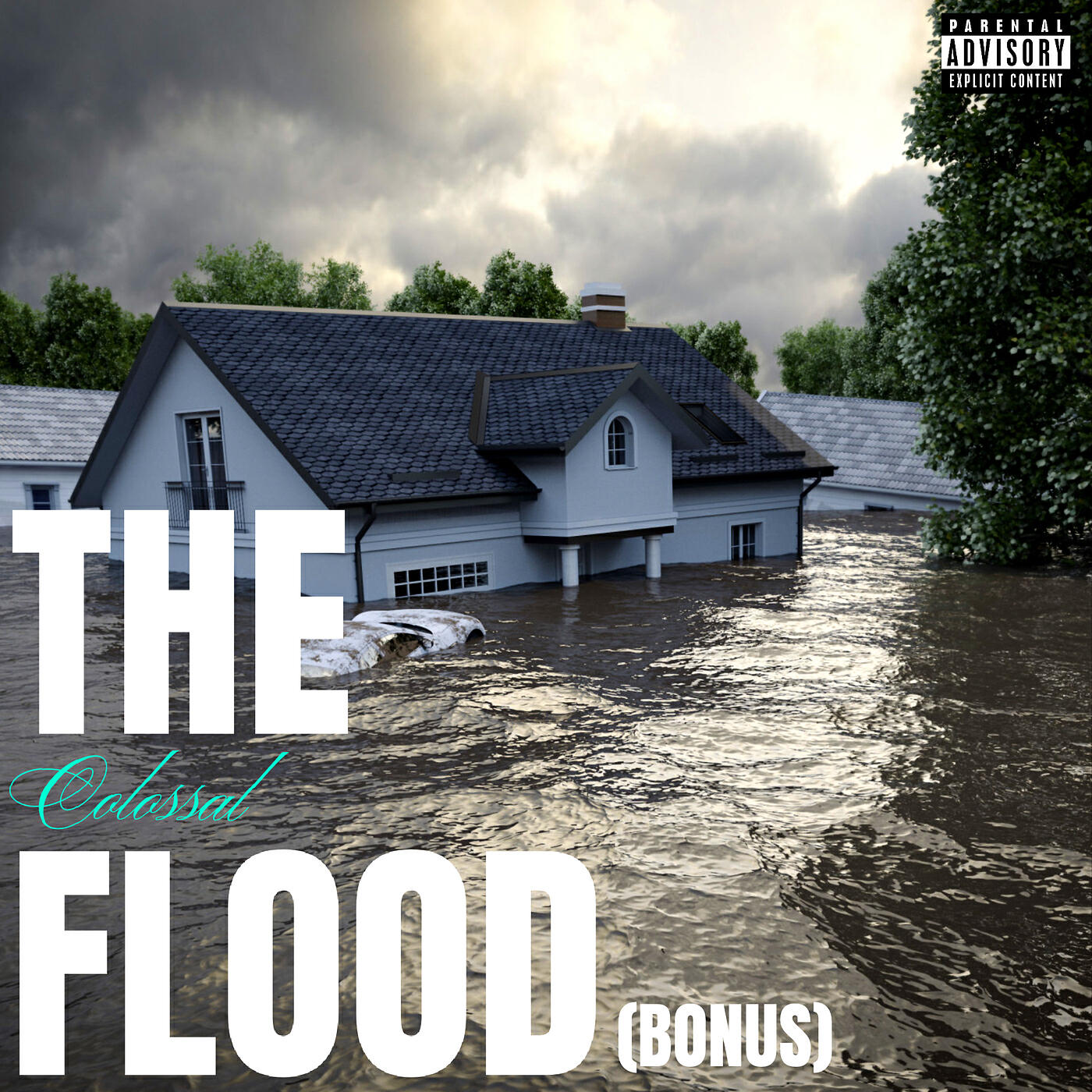Постер альбома The Flood (Bonus)