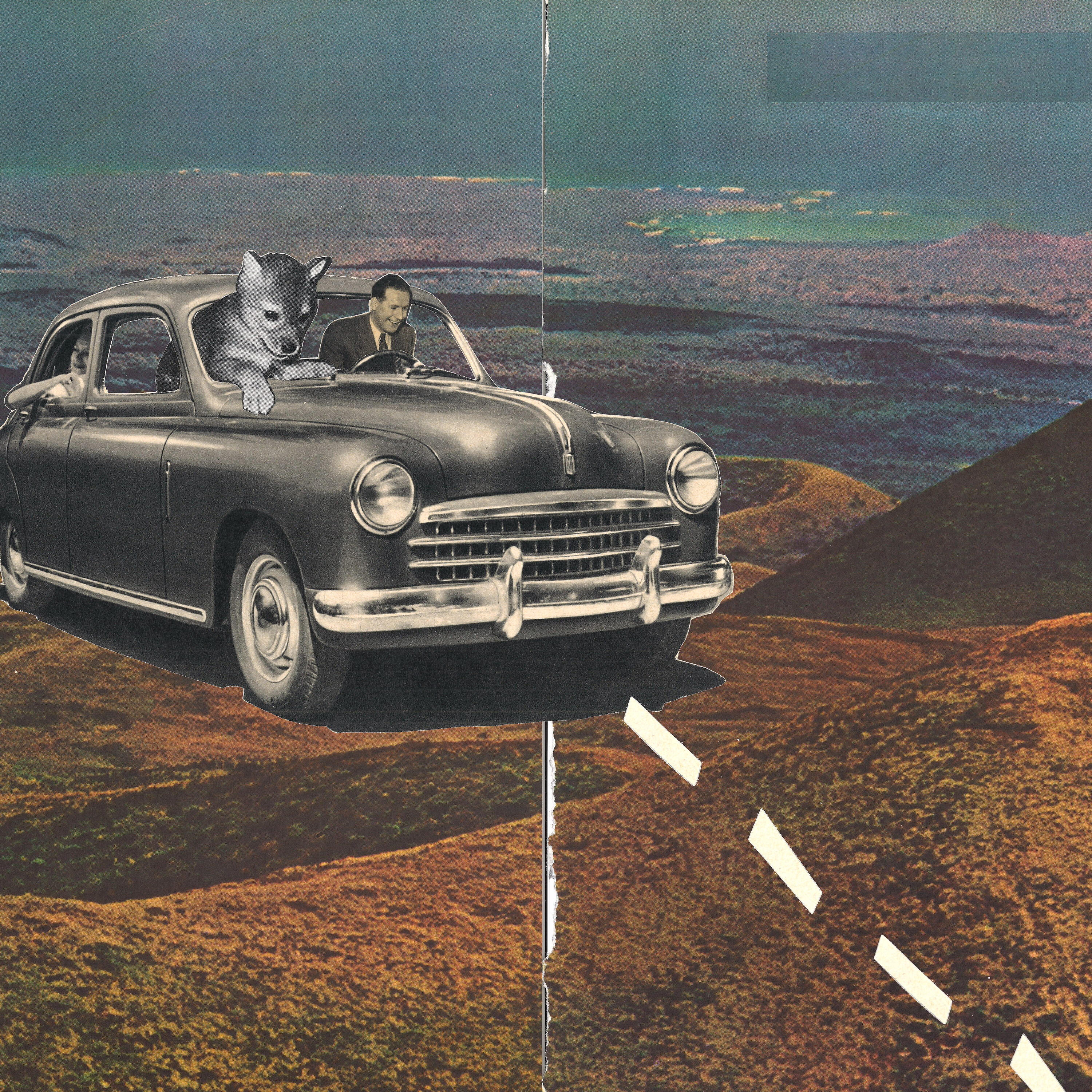 Релиз Country Blues Dilettante