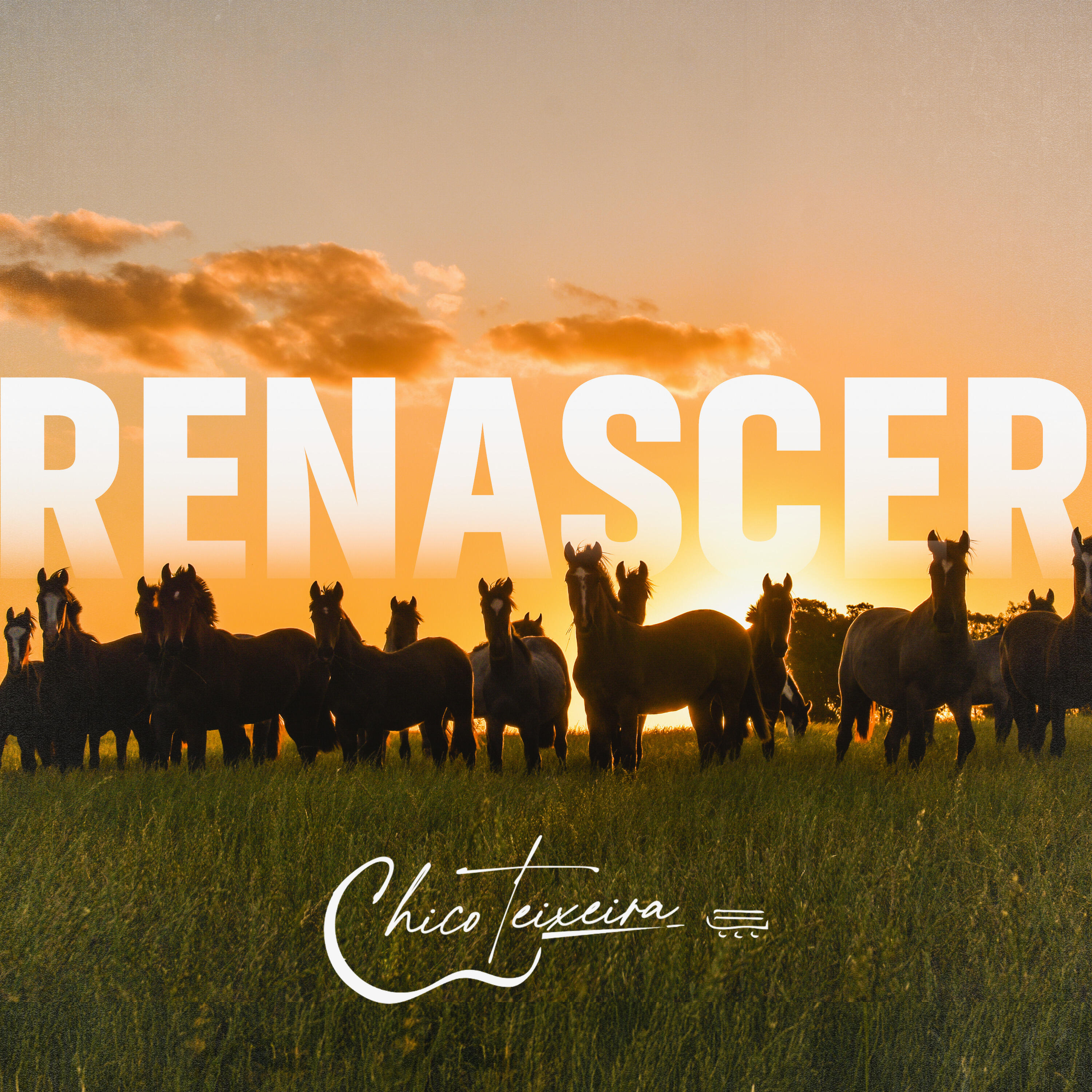 Релиз Renascer