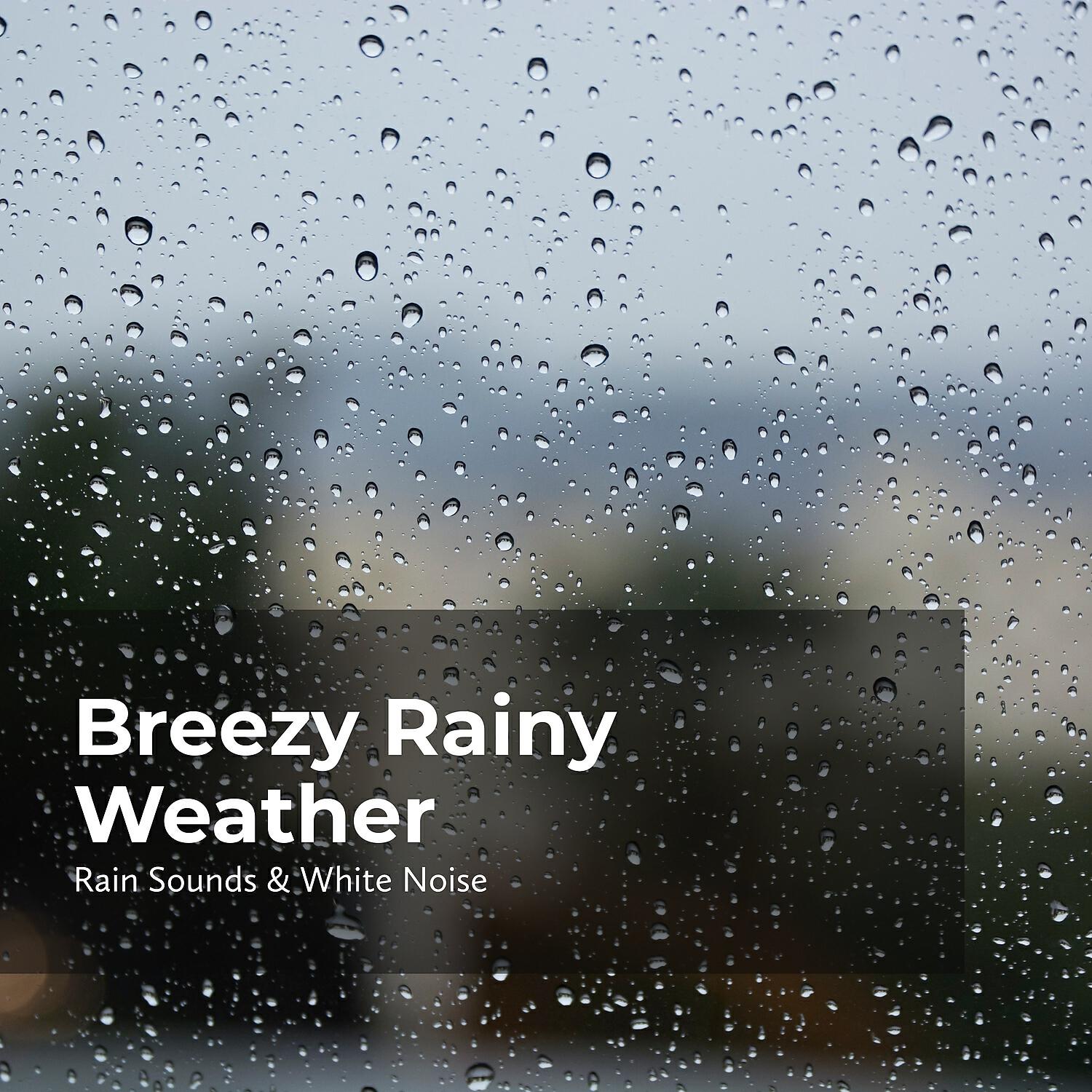 Релиз Breezy Rainy Weather