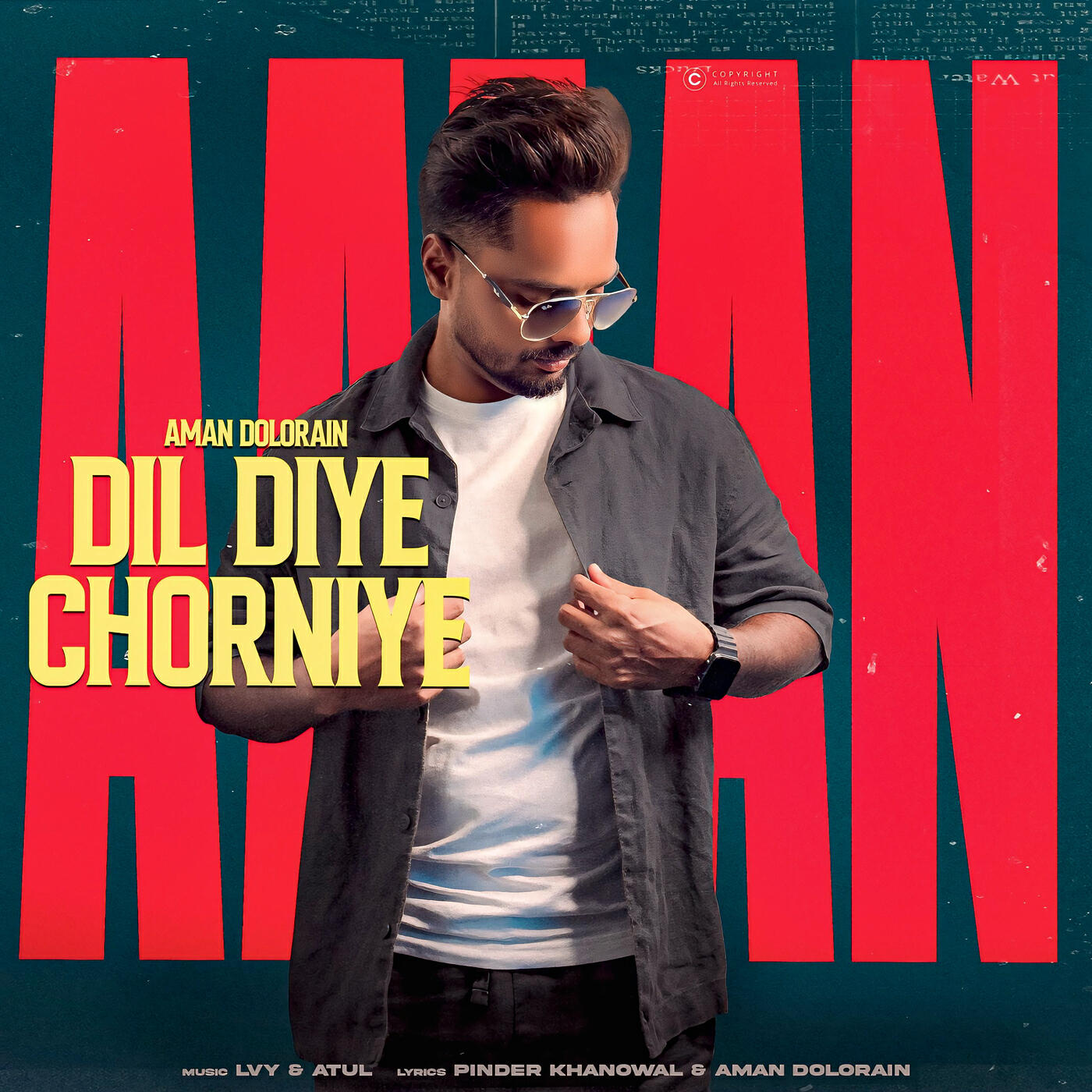 Релиз Dil Diye Chorniye