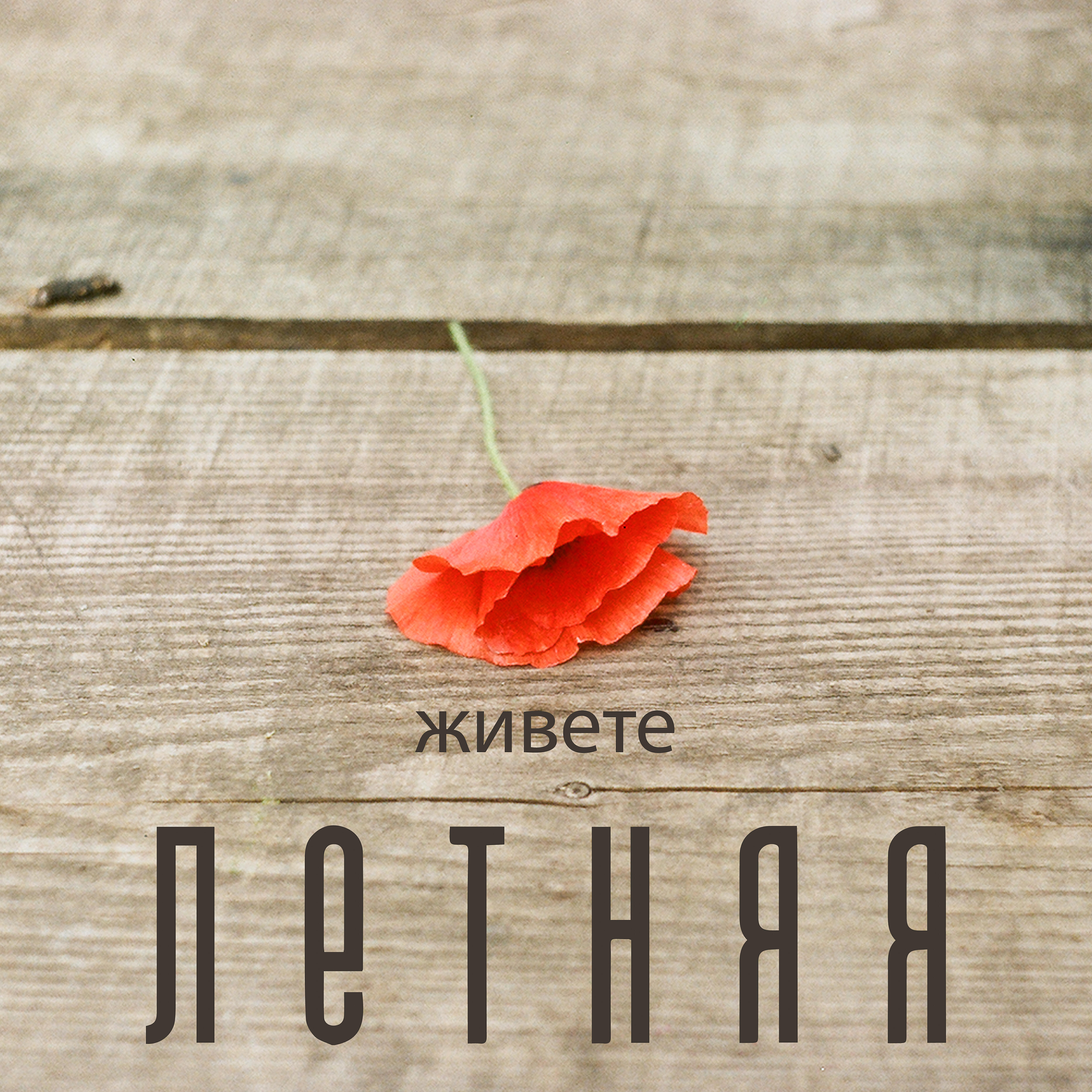 Релиз Летняя