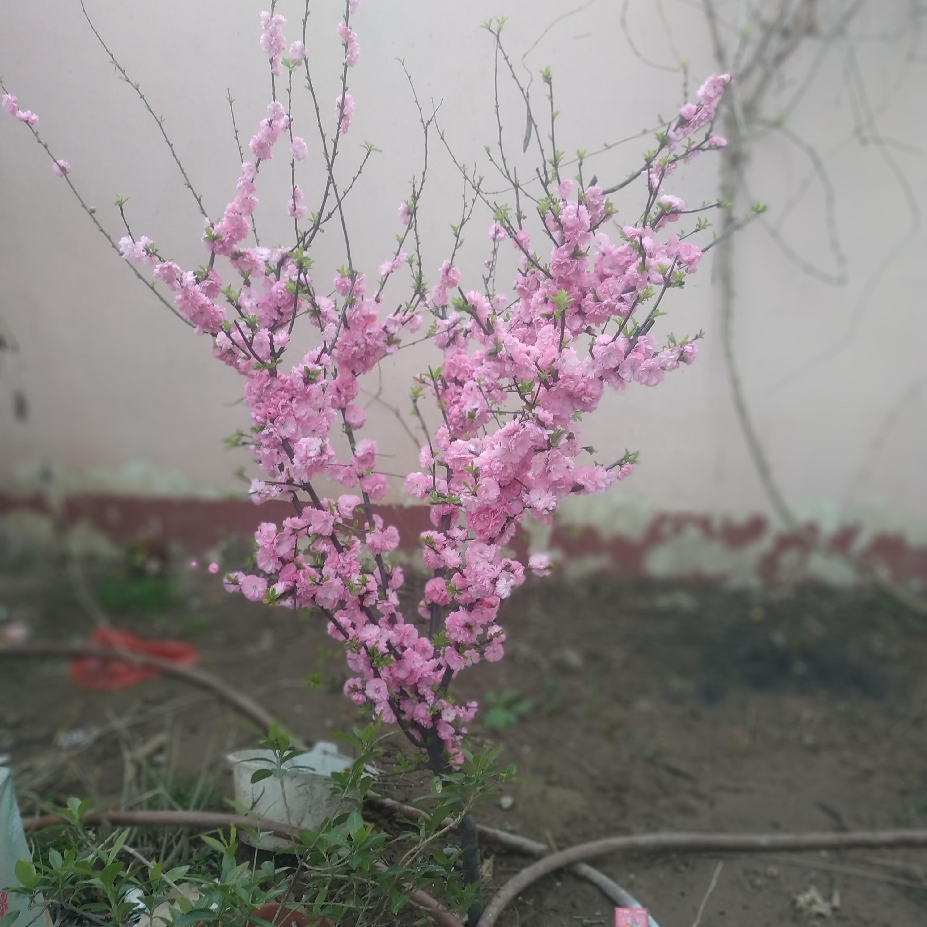 Релиз 就这样吧