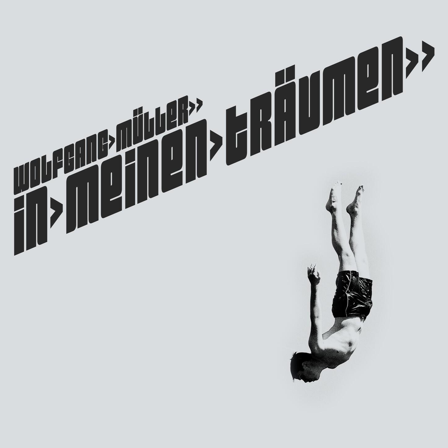Релиз In meinen Träumen