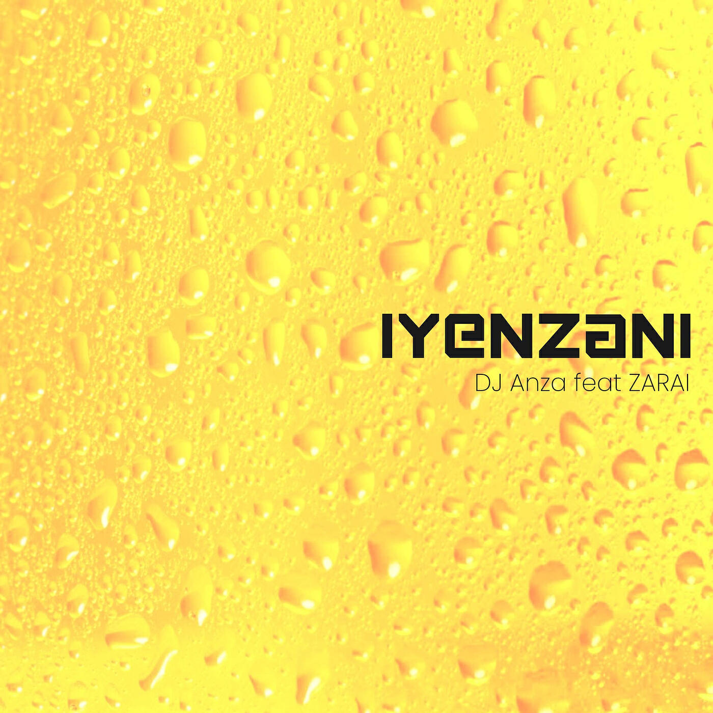 Релиз iYenzani