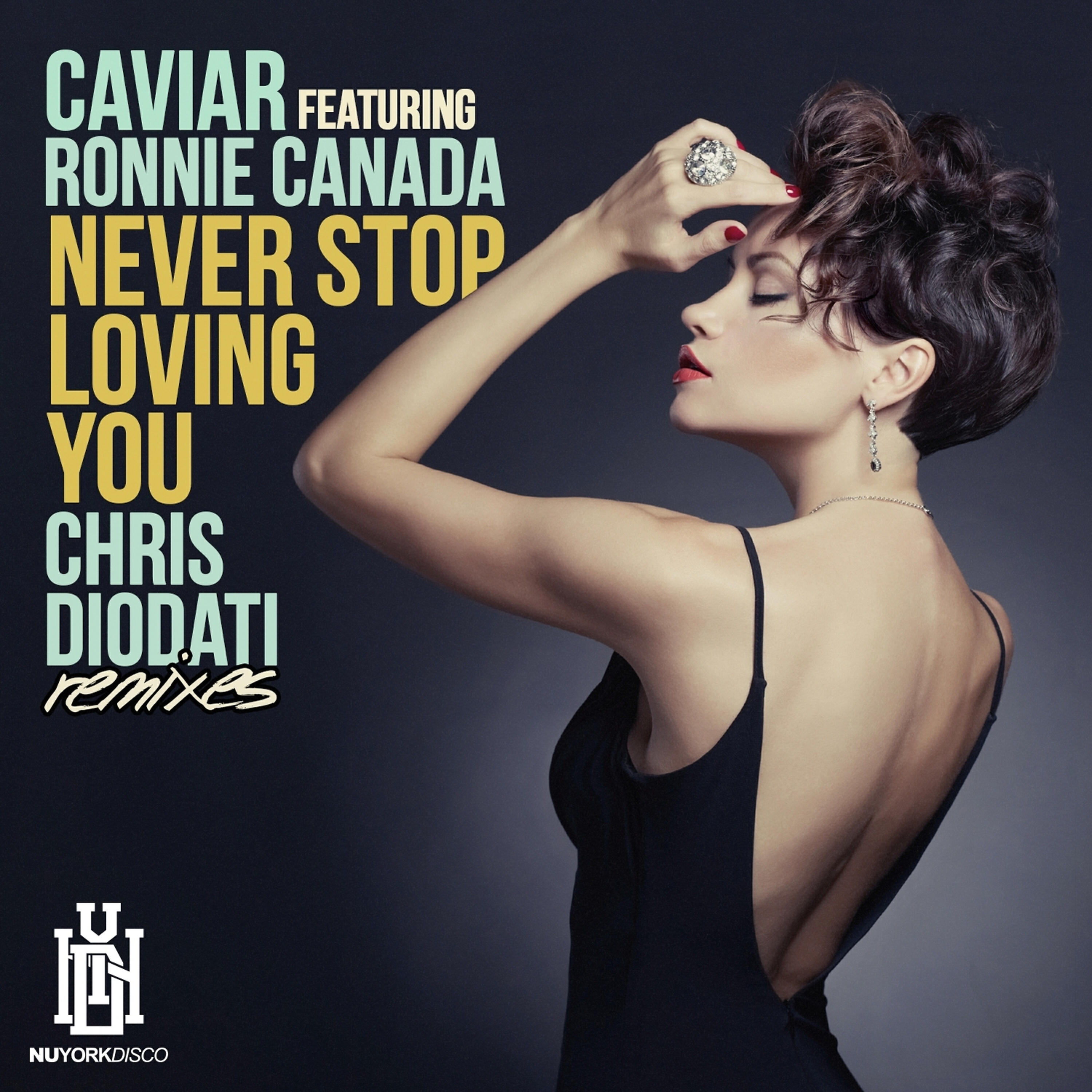 Релиз Never Stop Loving You (Chris Diodati Remixes)