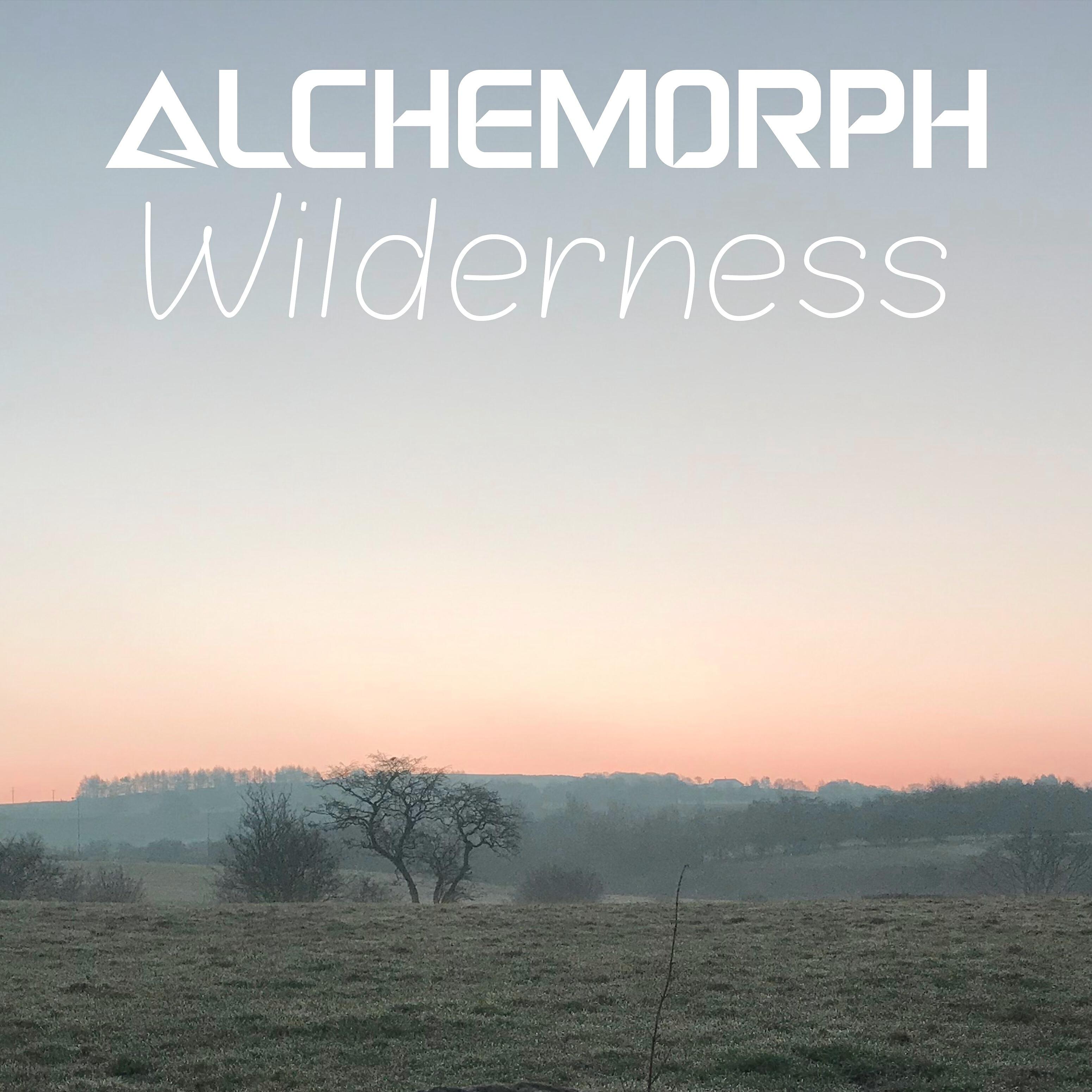 Релиз Wilderness