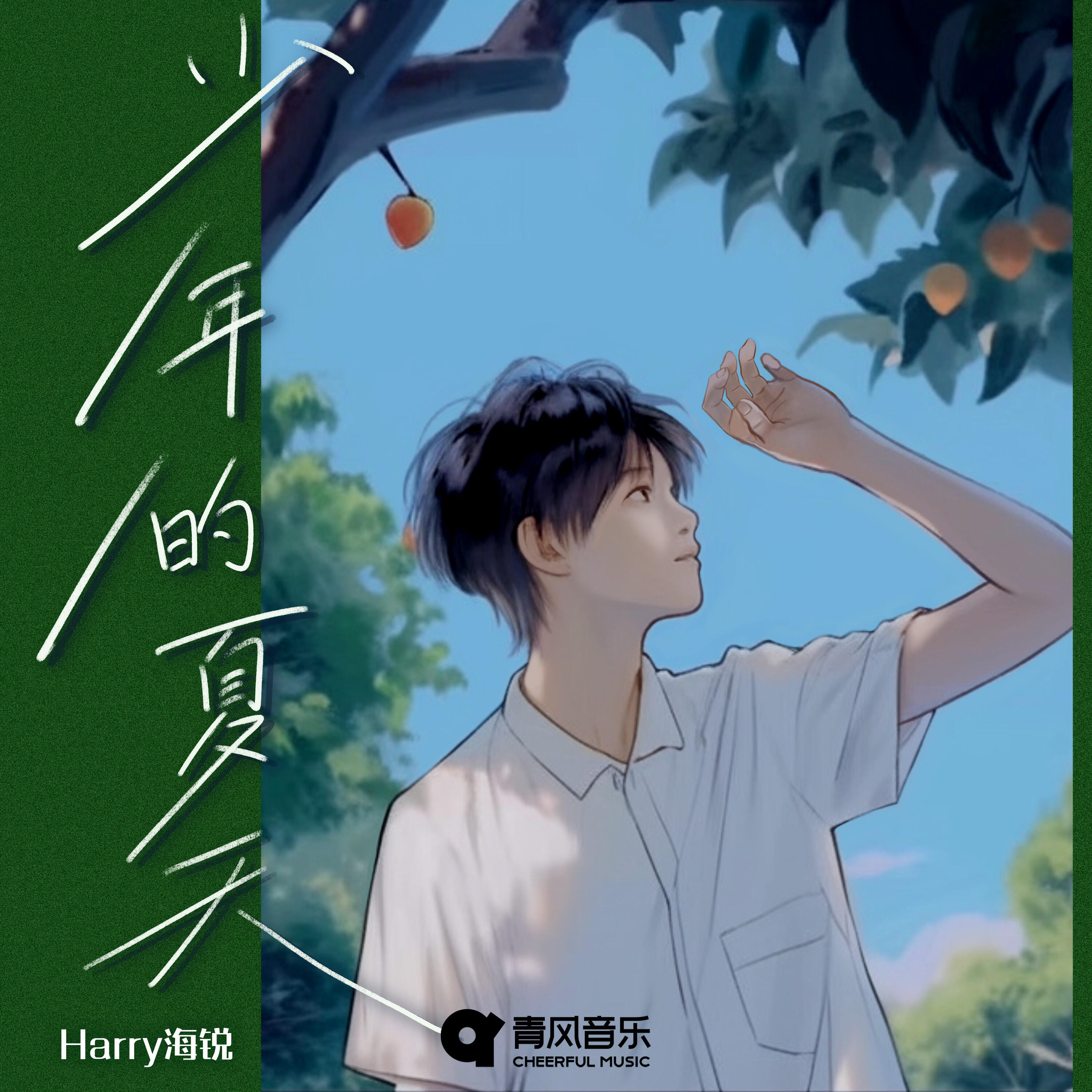 Релиз 少年的夏天
