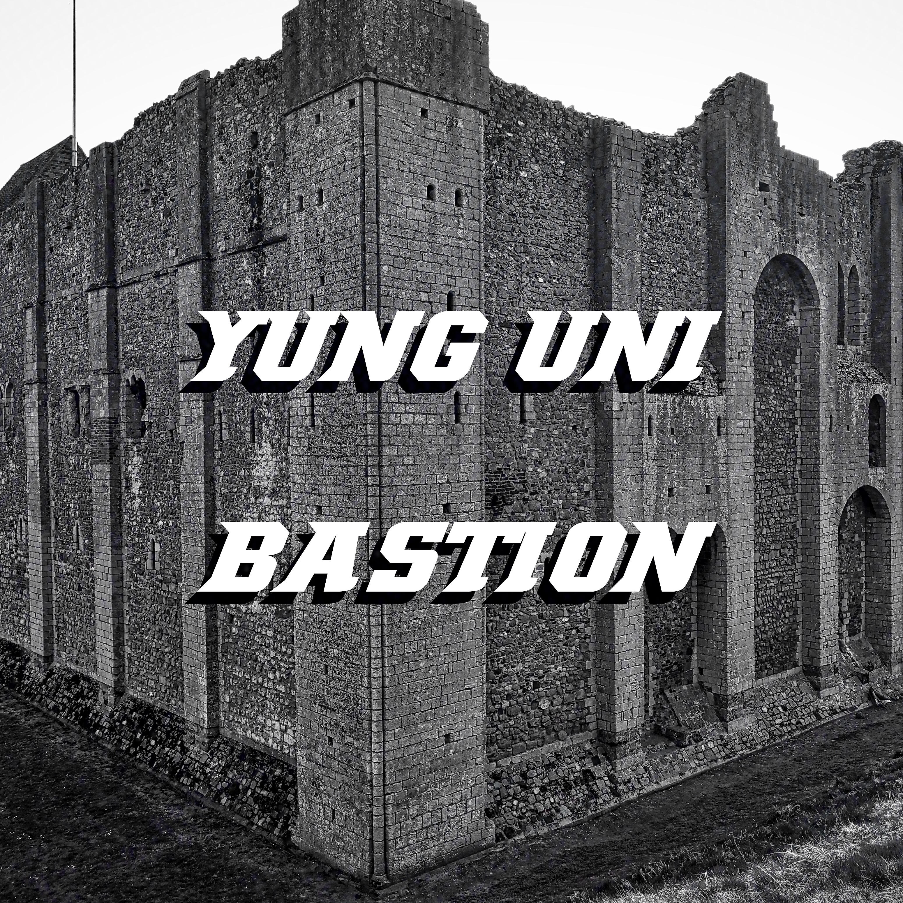 Релиз Bastion