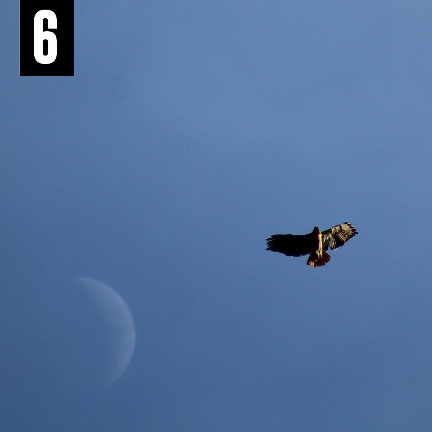 Релиз 6