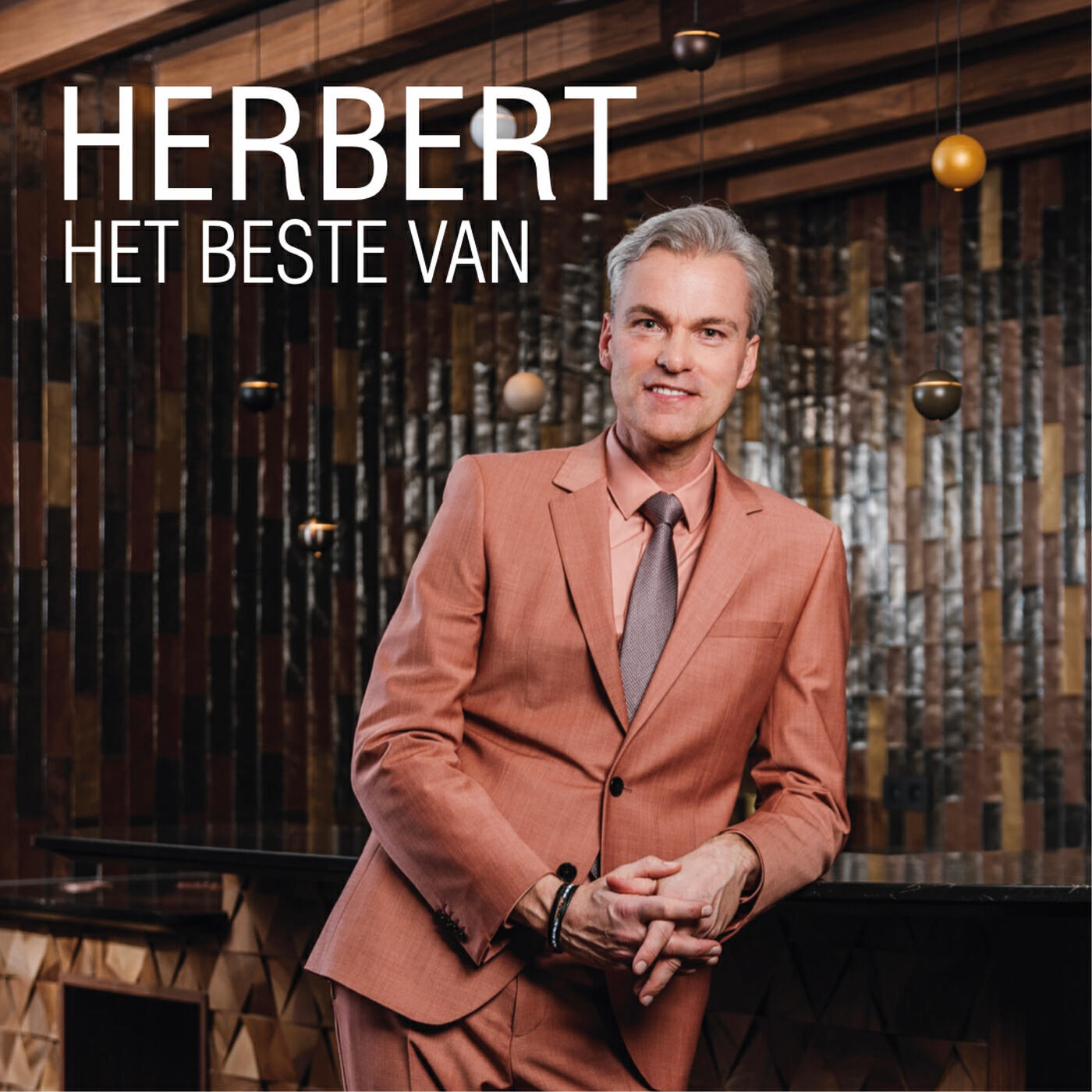 Постер альбома Het Beste Van