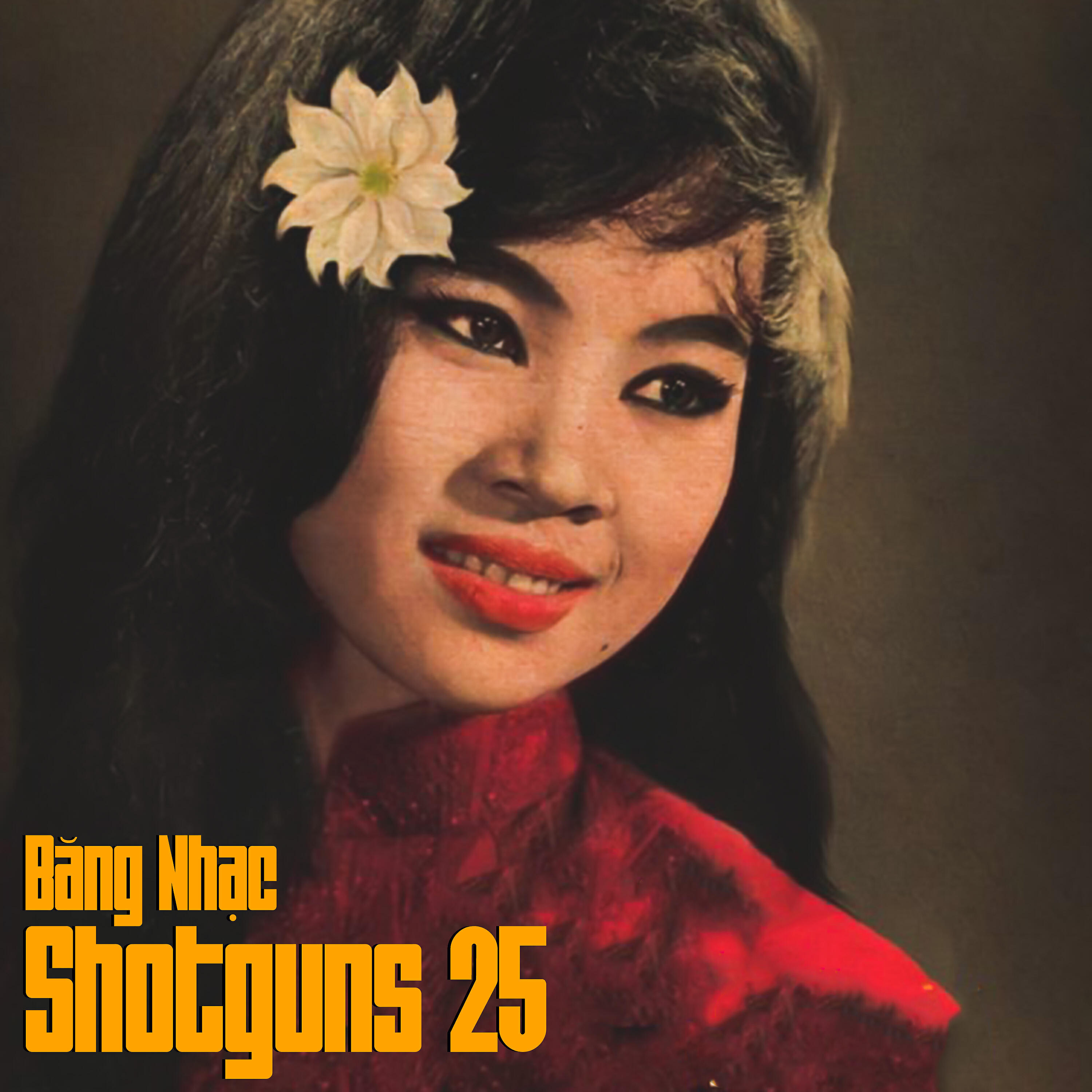 Релиз Băng Nhạc Shotguns 25