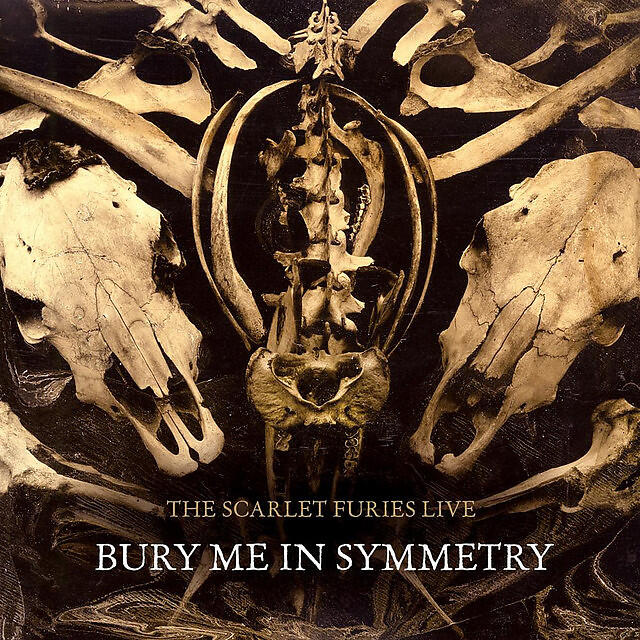 Постер альбома Bury Me in Symmetry