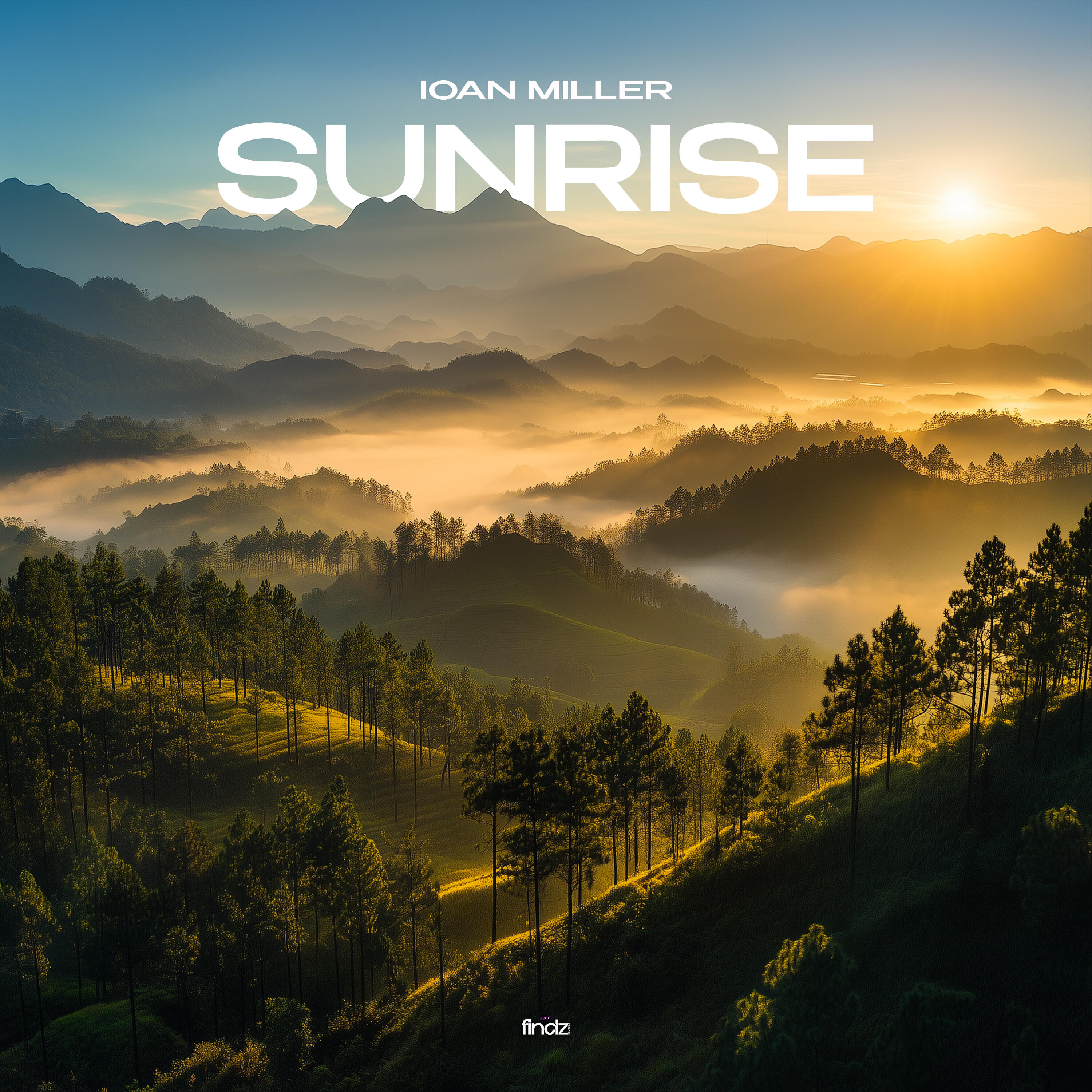 Релиз SUNRISE