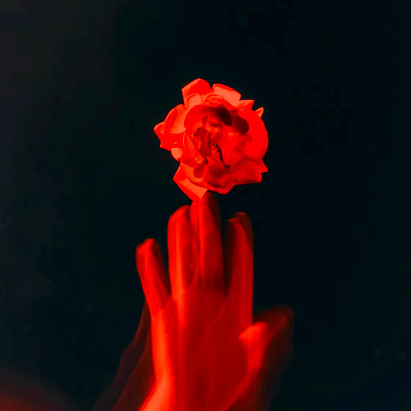 Релиз Remorse