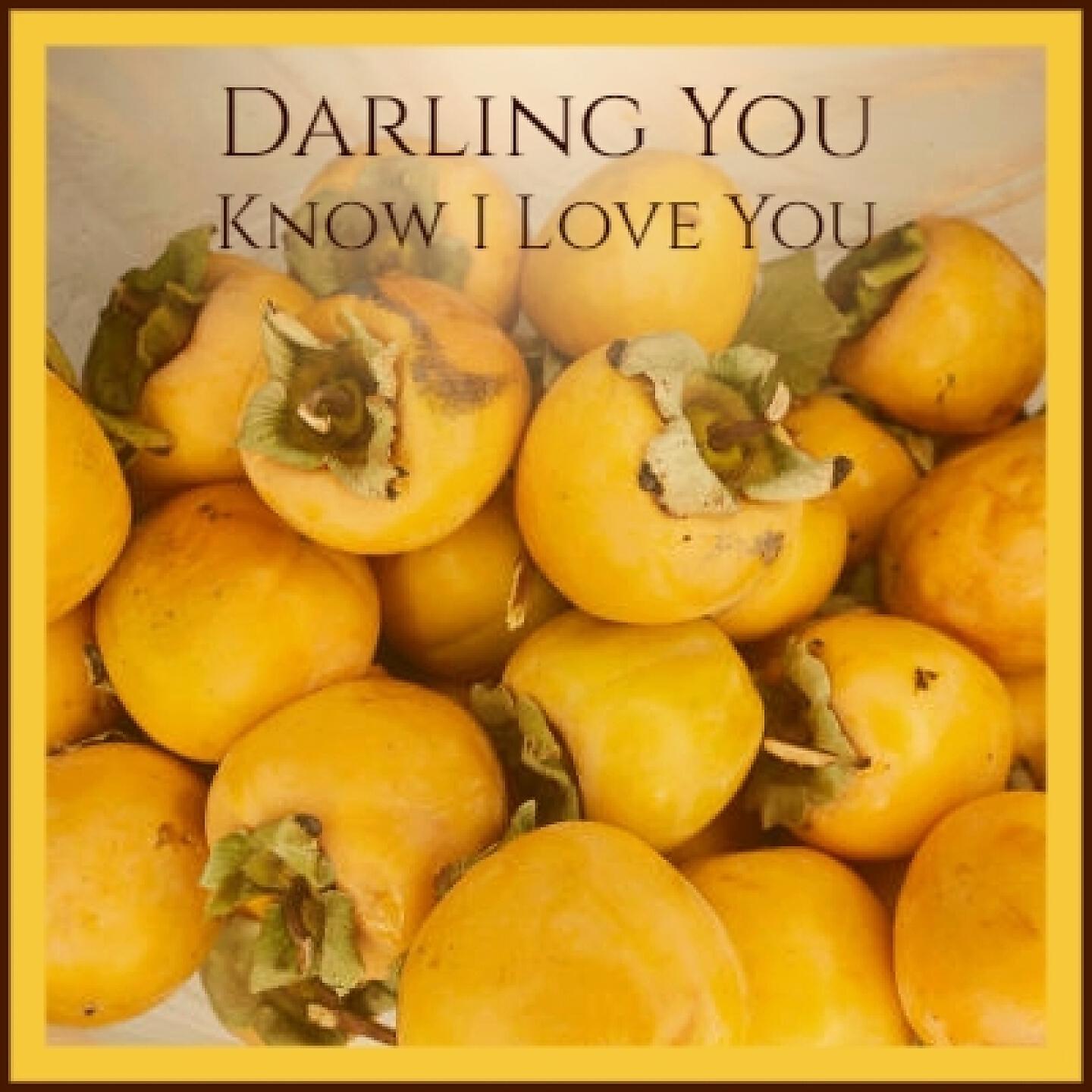 Релиз Darling You Know I Love You