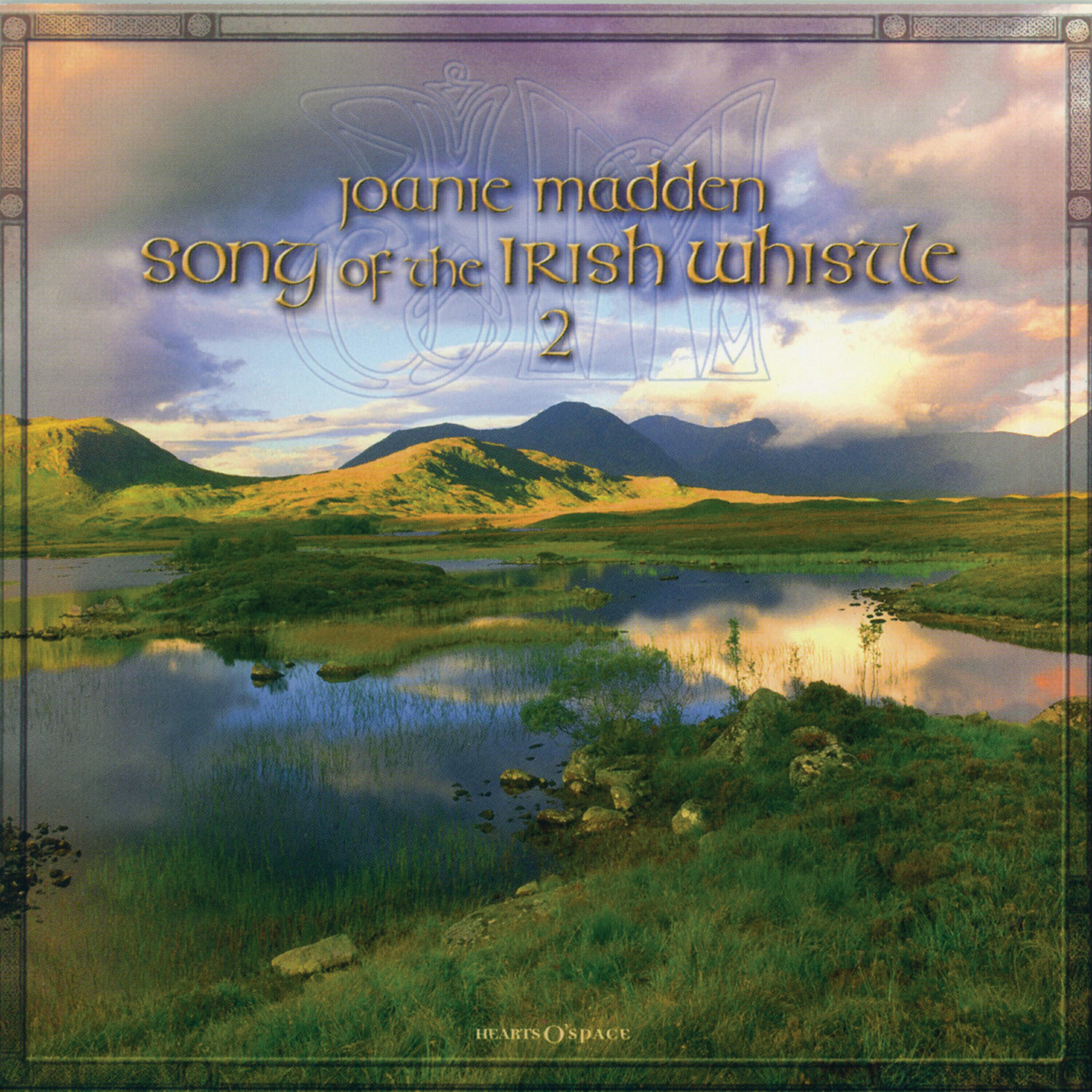Релиз Song of the Irish Whistle 2