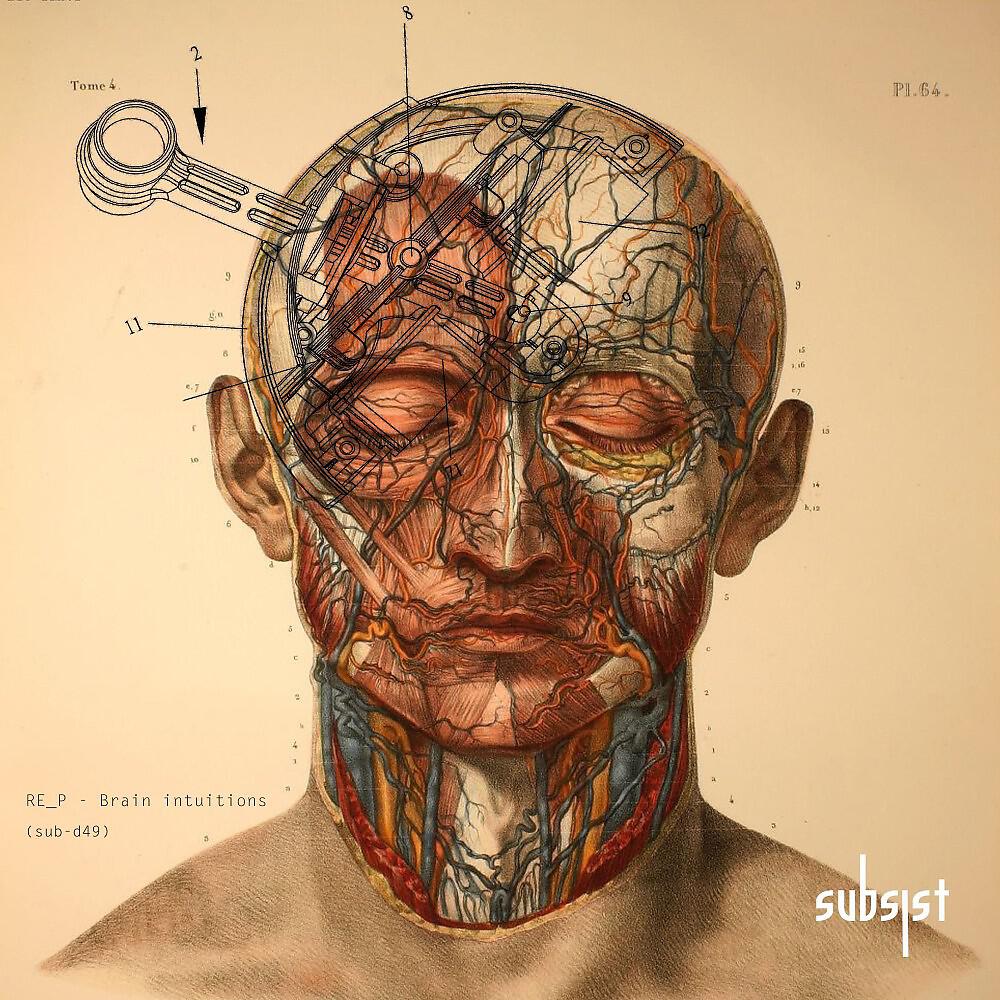 Релиз Brain Intuitions
