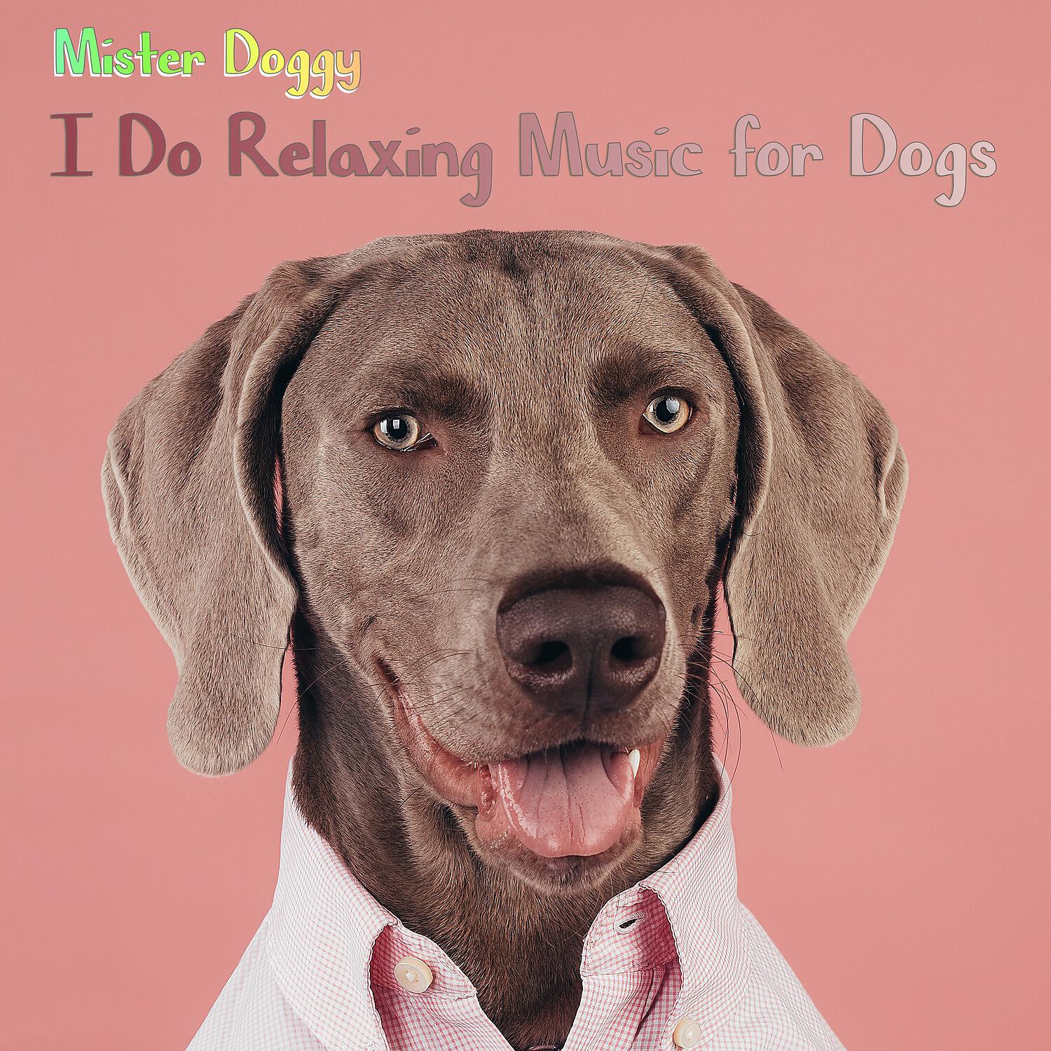 Релиз I Do Relaxing Music for Dogs