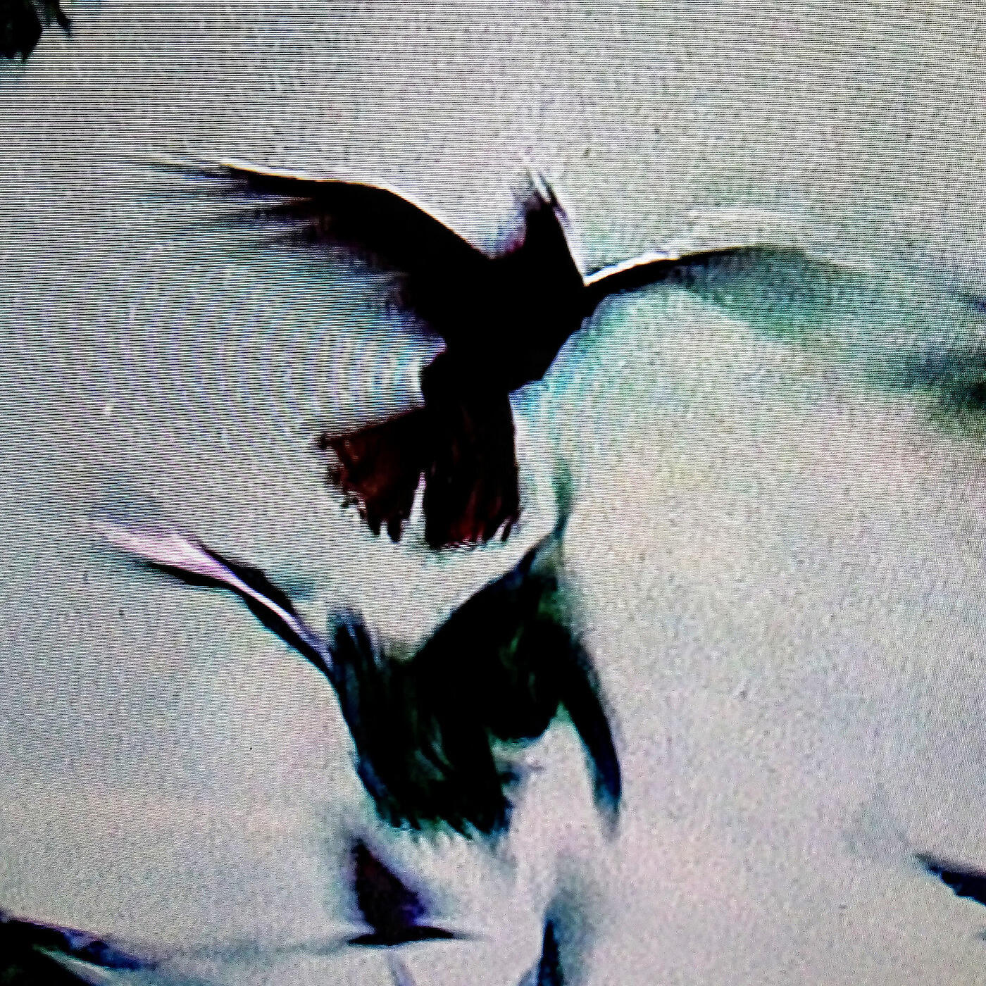 Релиз OUTRENOIR - EP