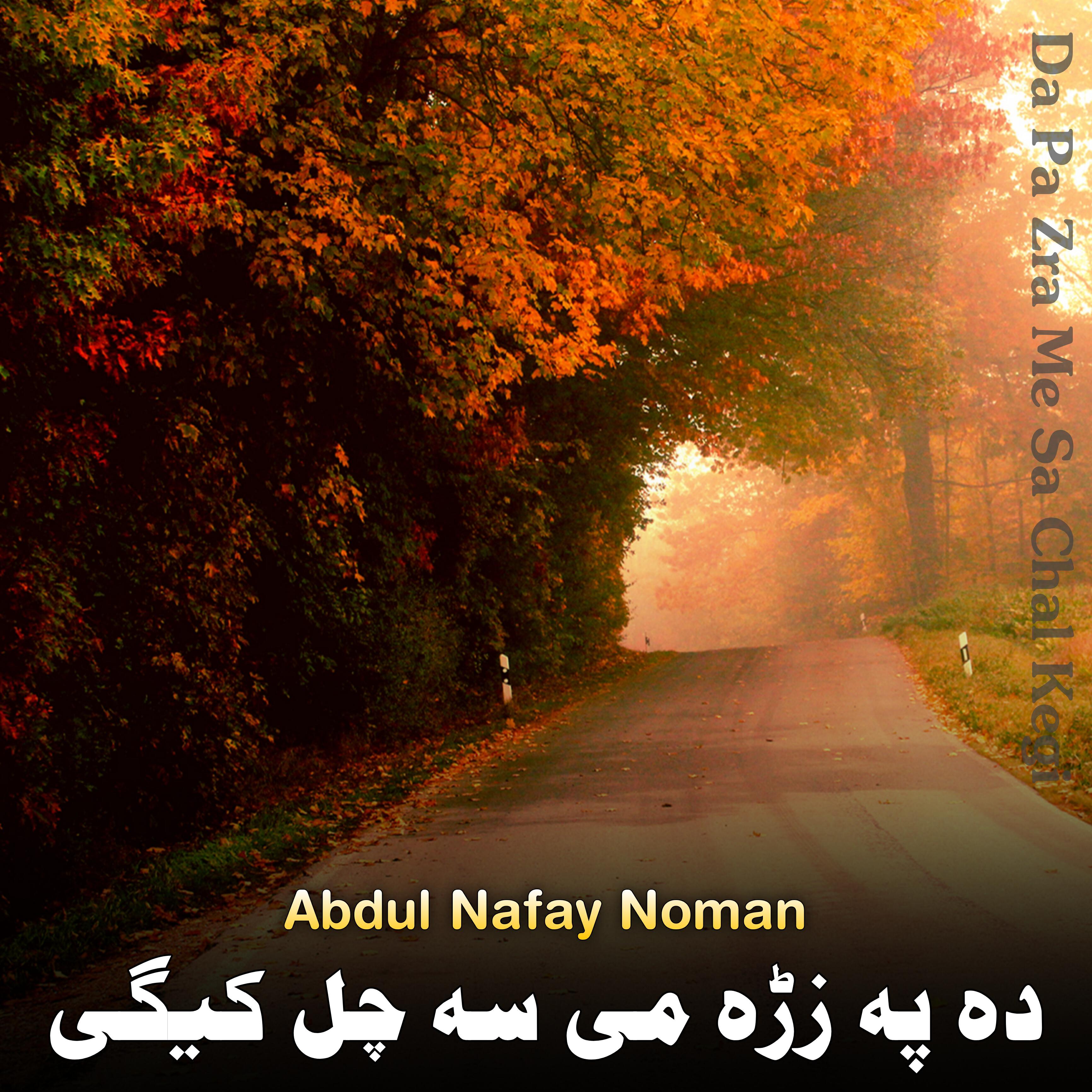 Abdul Nafay Noman