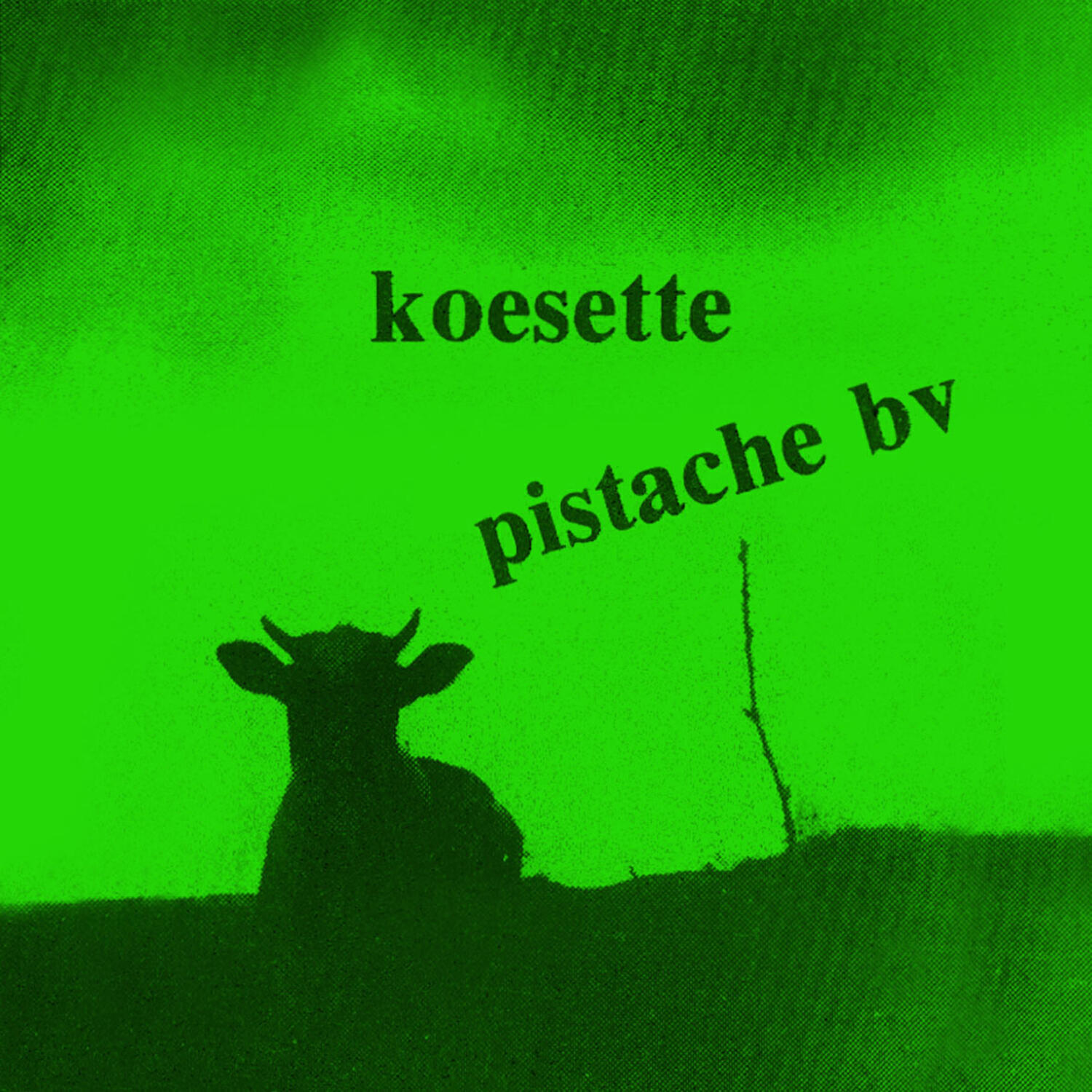 Релиз Koesette