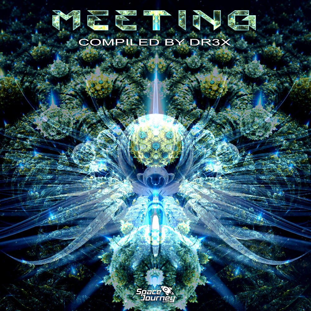 Релиз Meeting