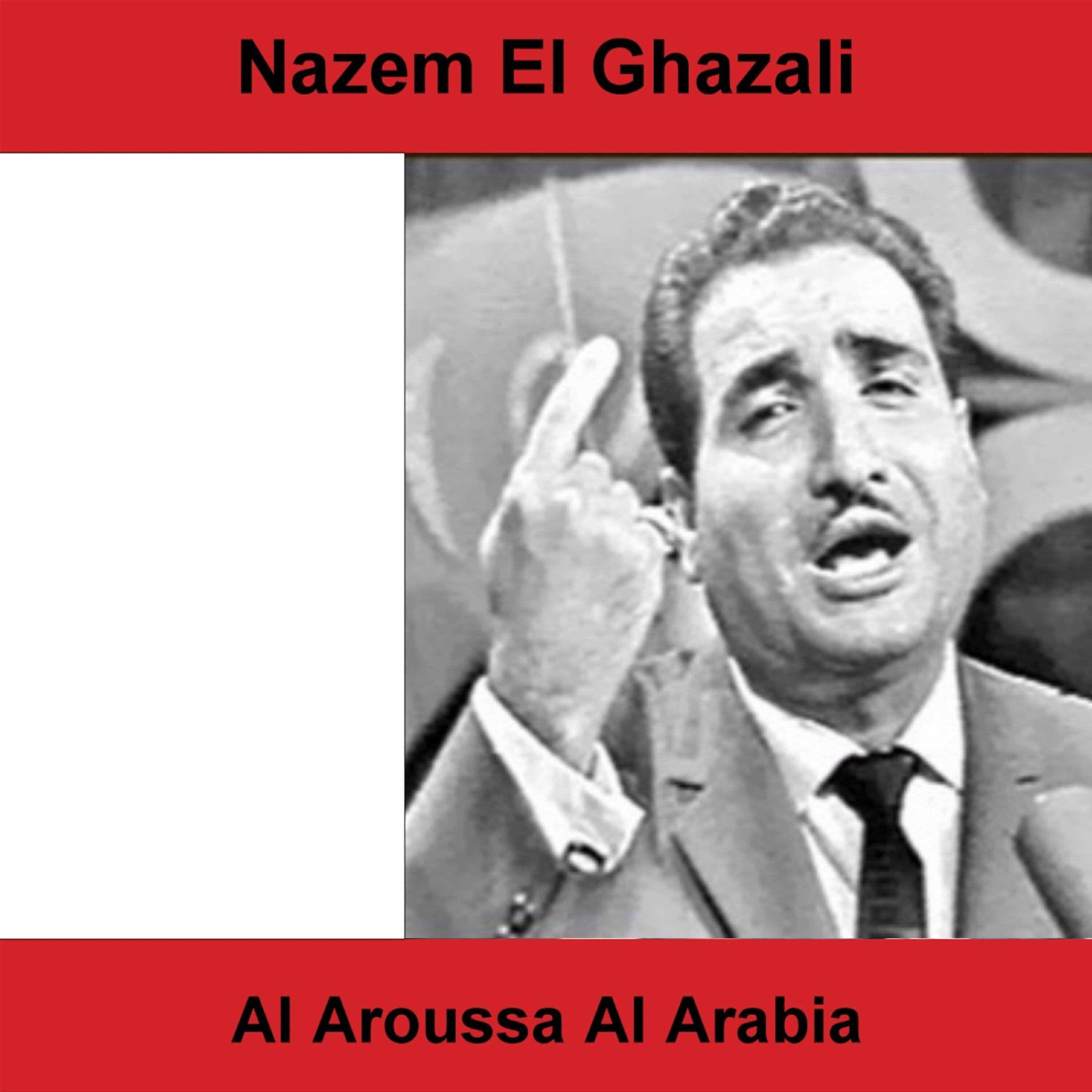 ناظم الغزالى