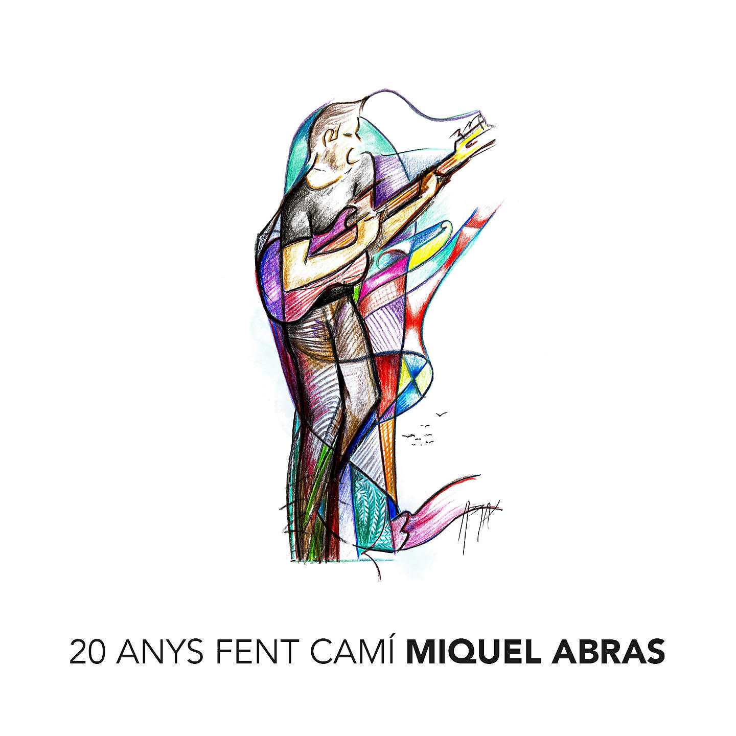 Релиз 20 Anys Fent Camí