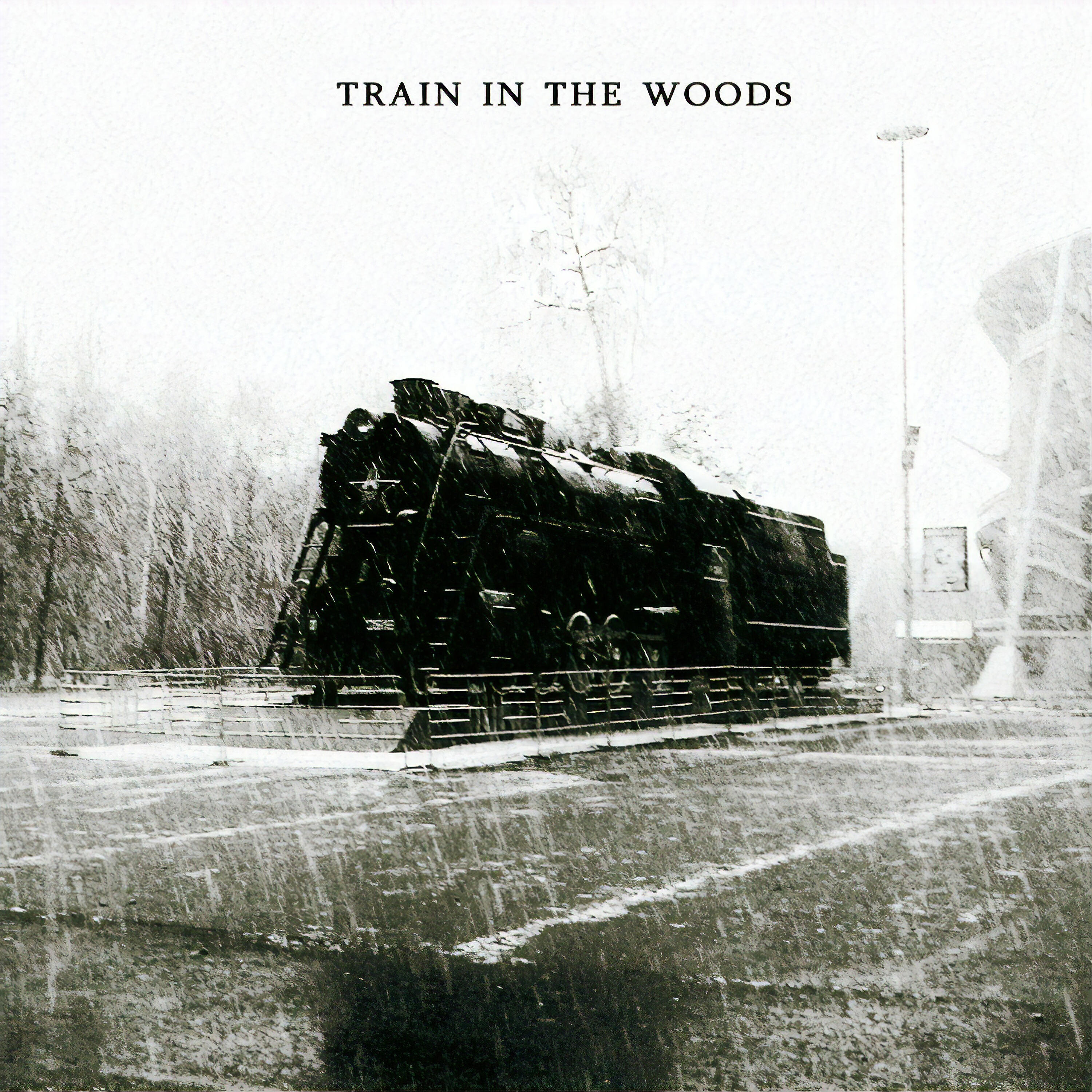 Релиз Train in the Woods