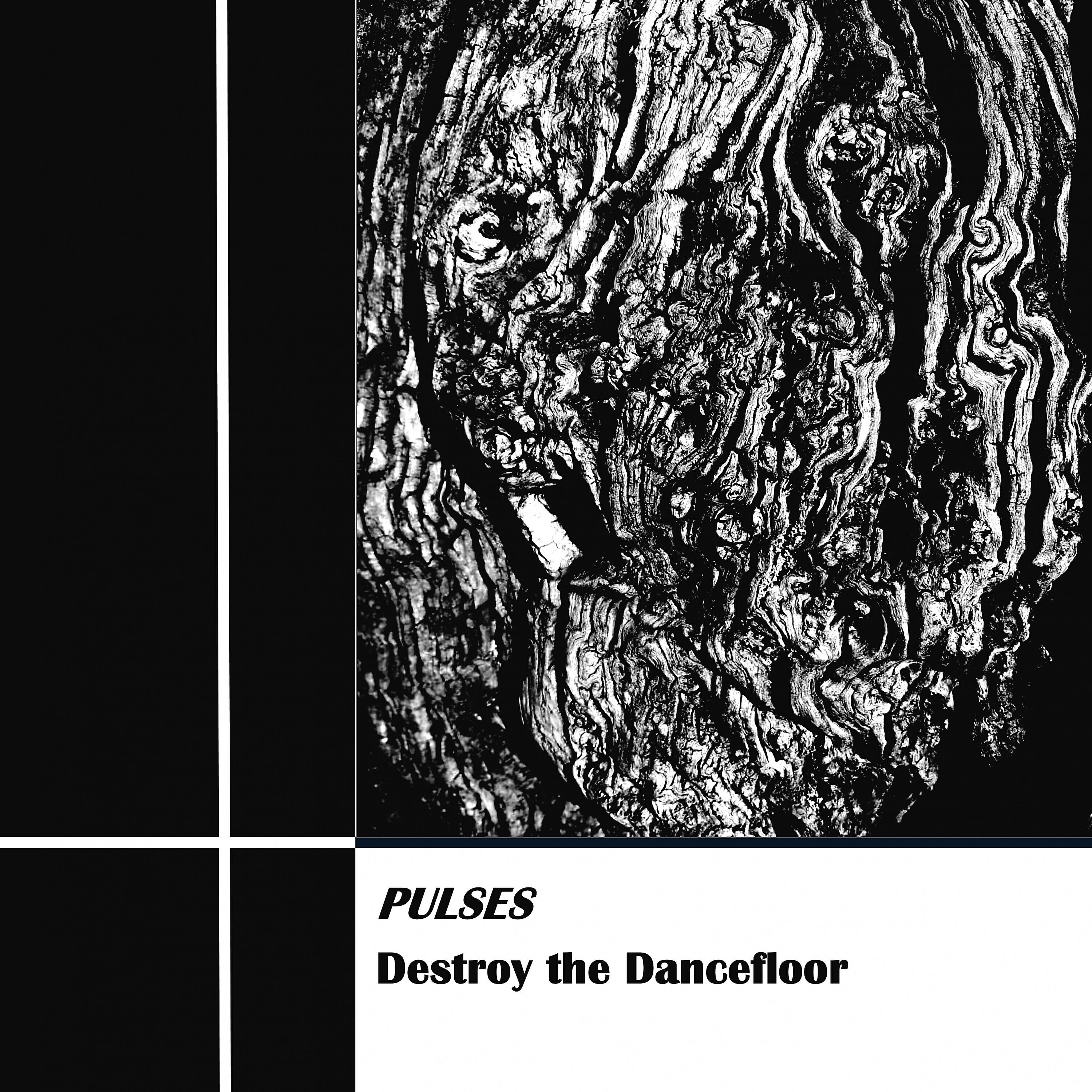 Релиз Destroy the Dancefloor