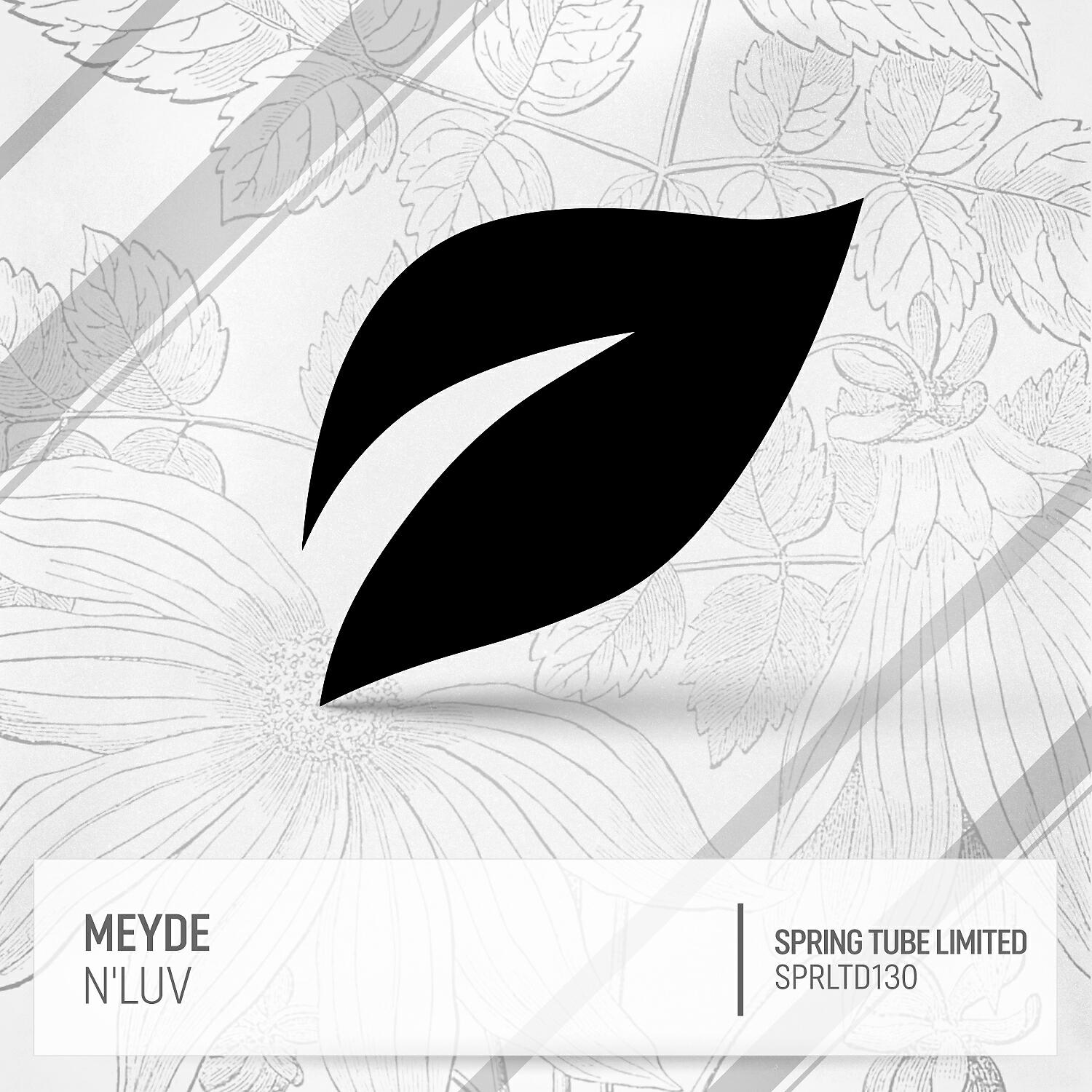 Meyde