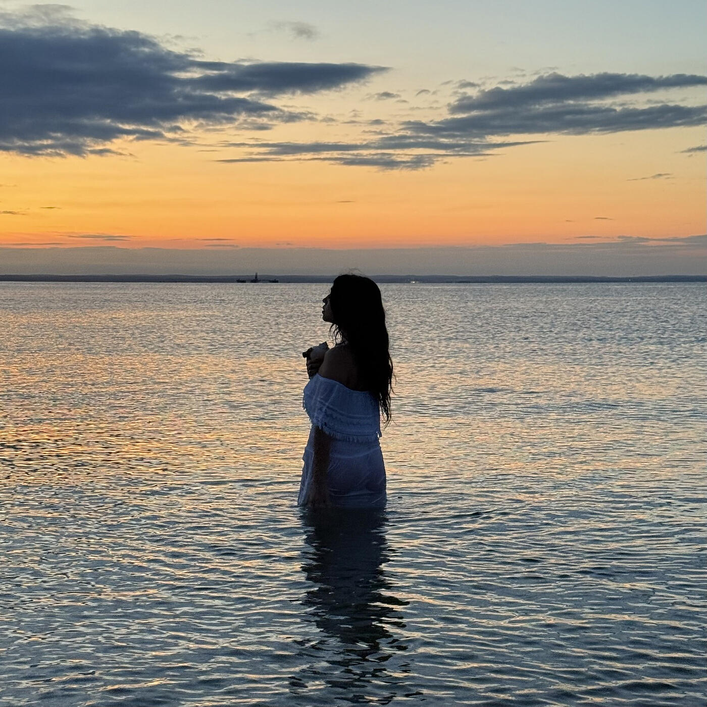 Релиз The One W the Horns