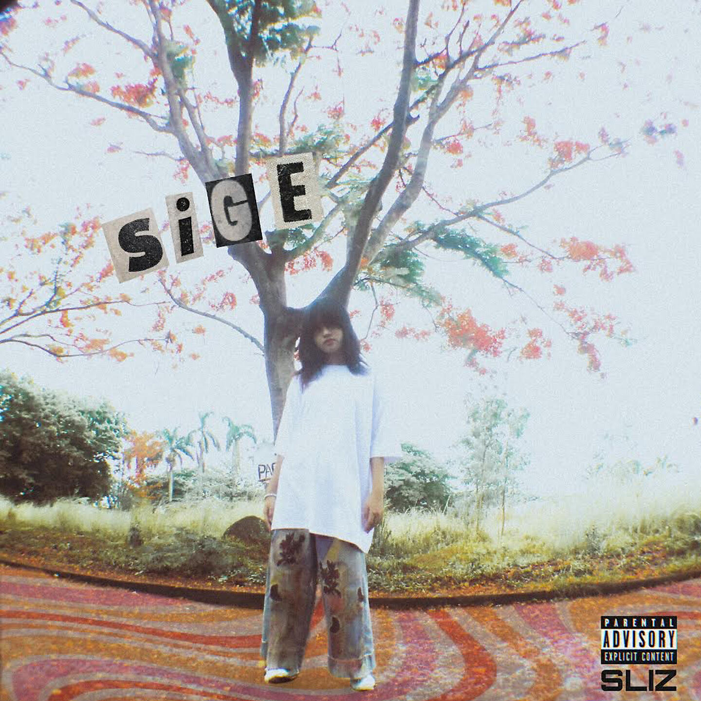 Релиз Sige