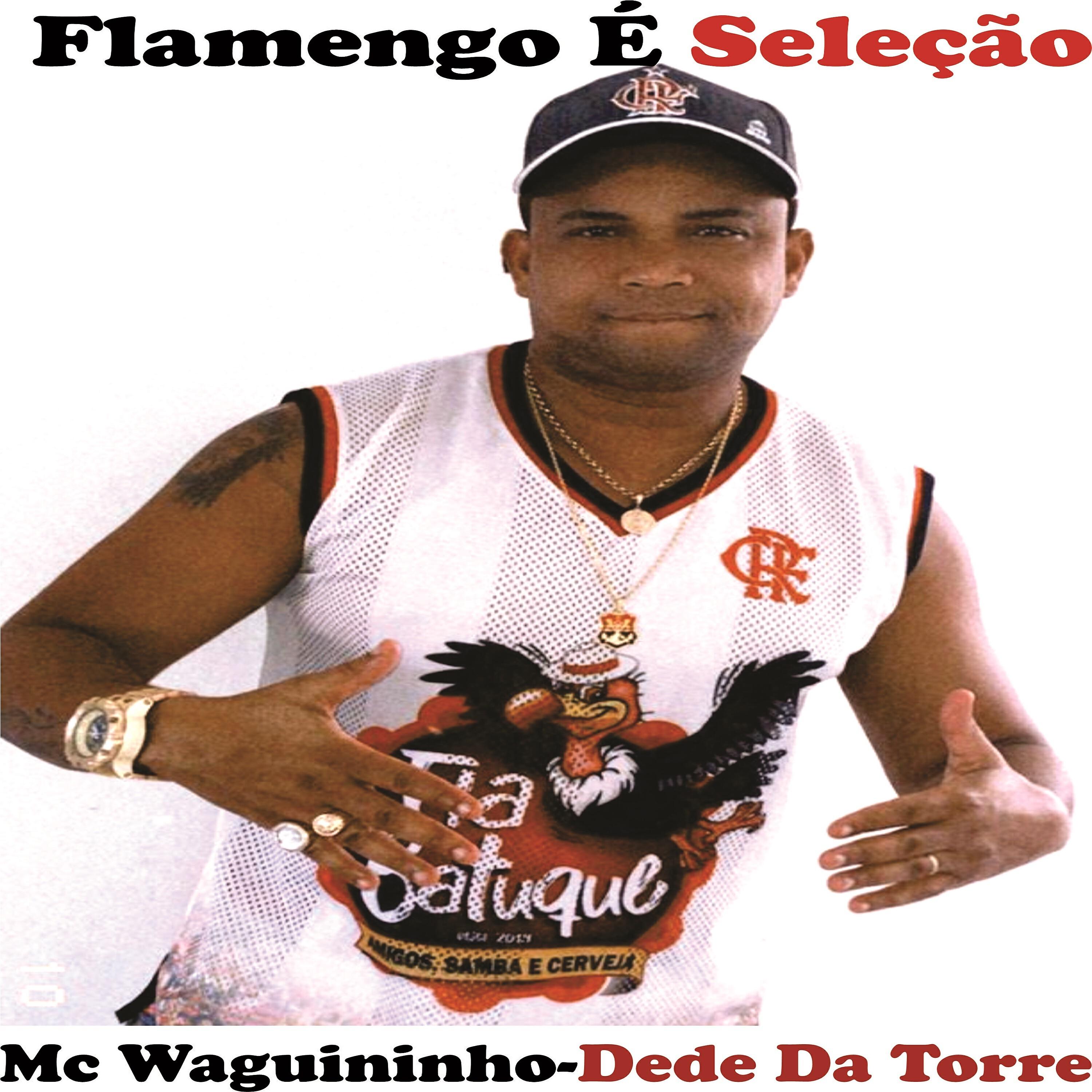 Релиз Flamengo e Seleção