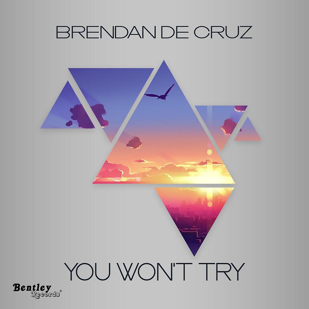 Релиз You Won't Try
