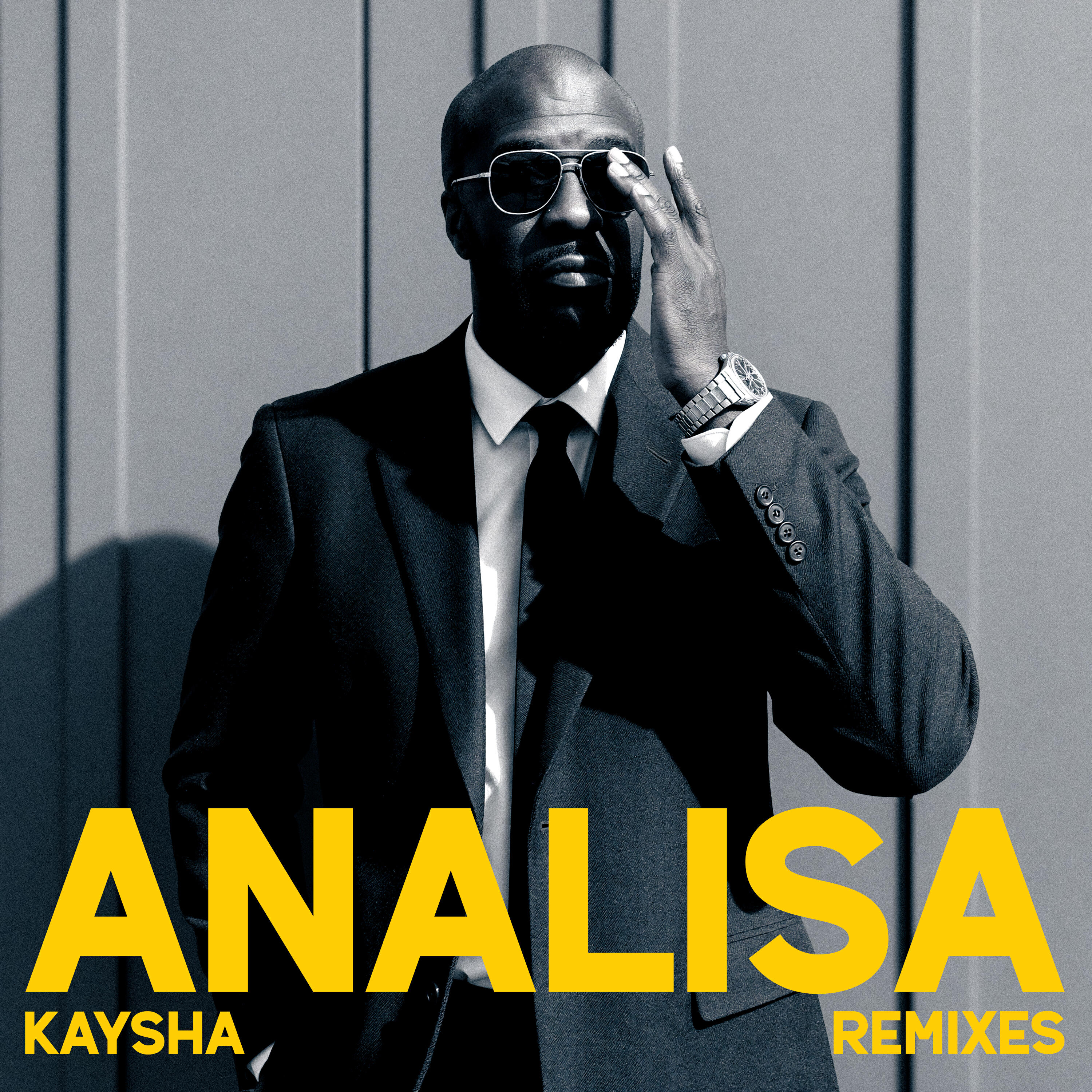 Релиз Analisa