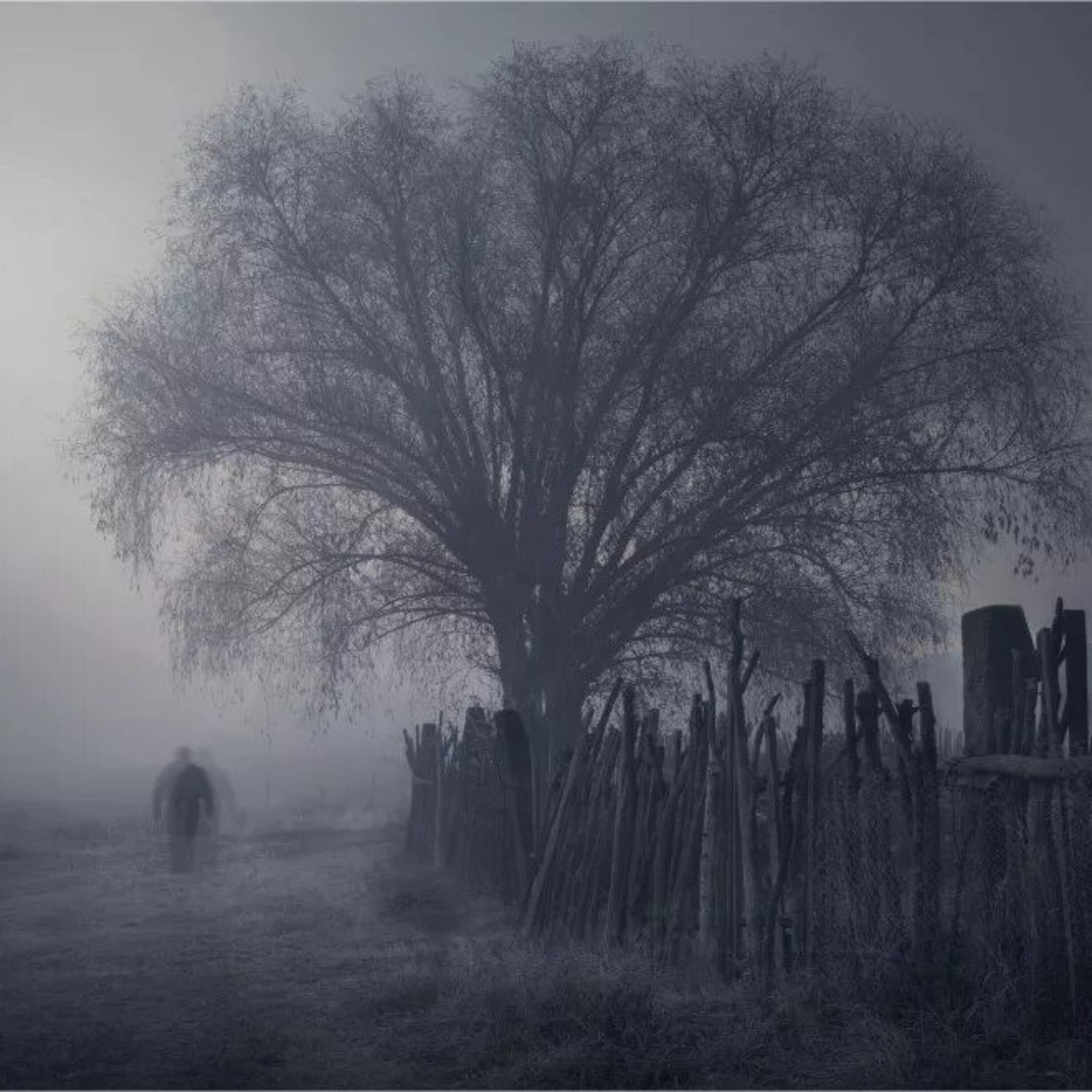 Релиз Film horror ambient