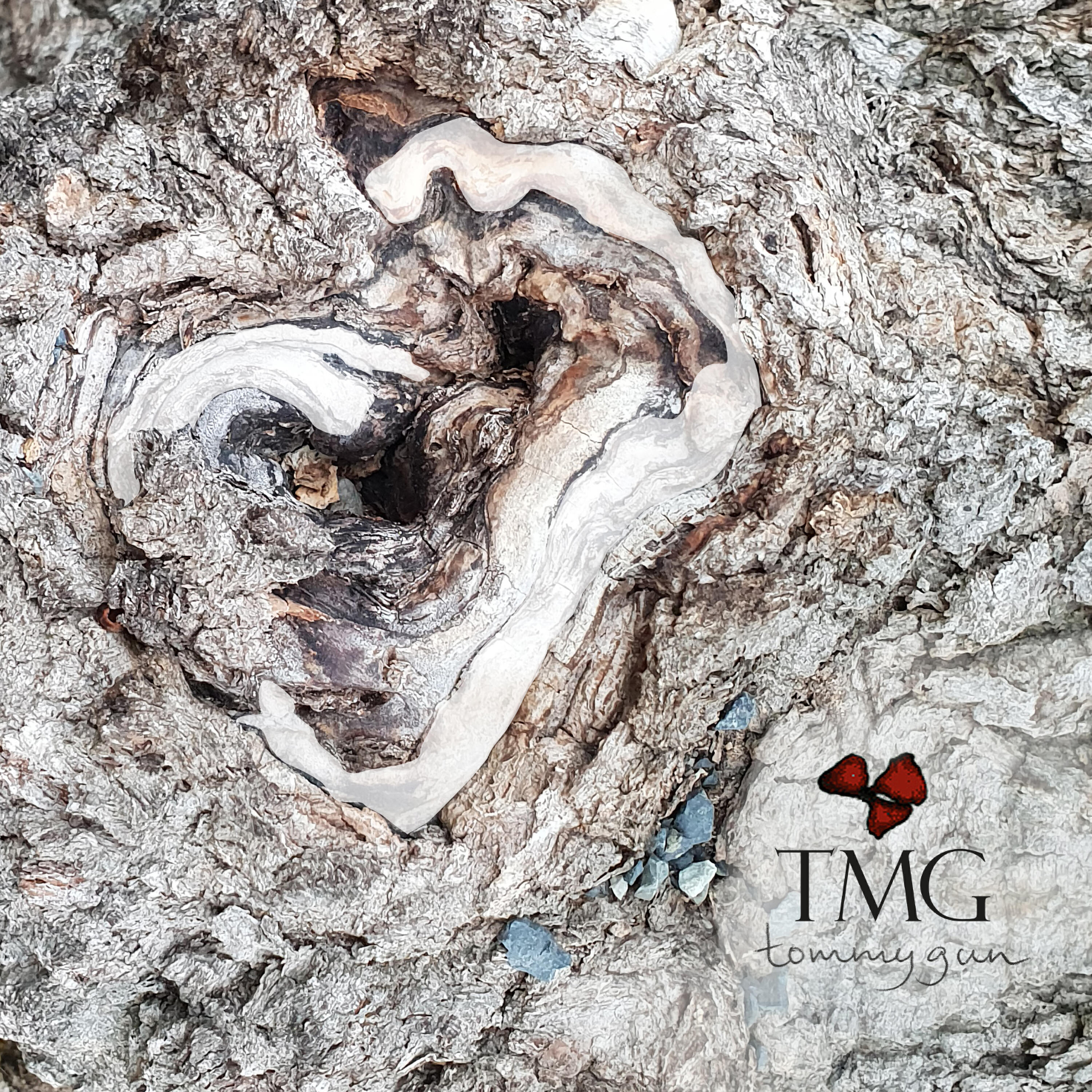 Релиз Love Can Tear You Down
