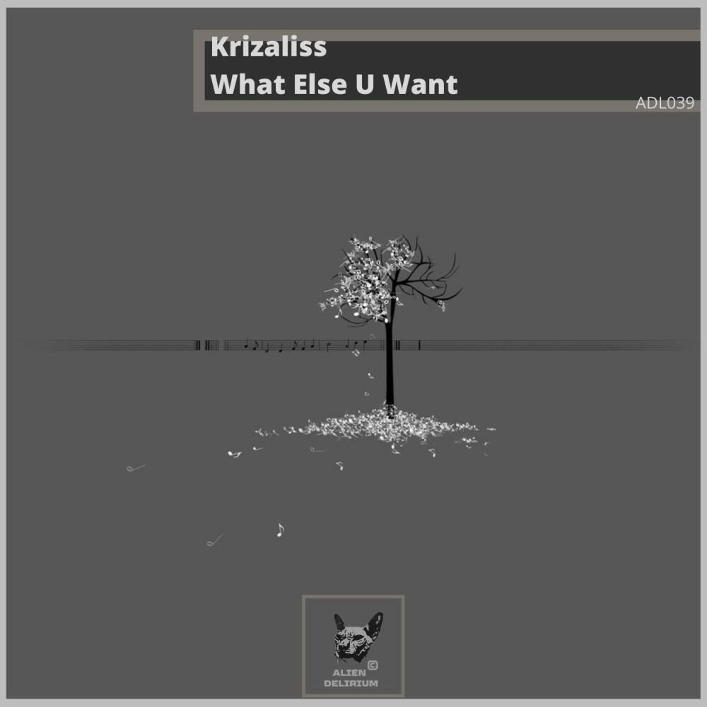 Релиз What Else U Want