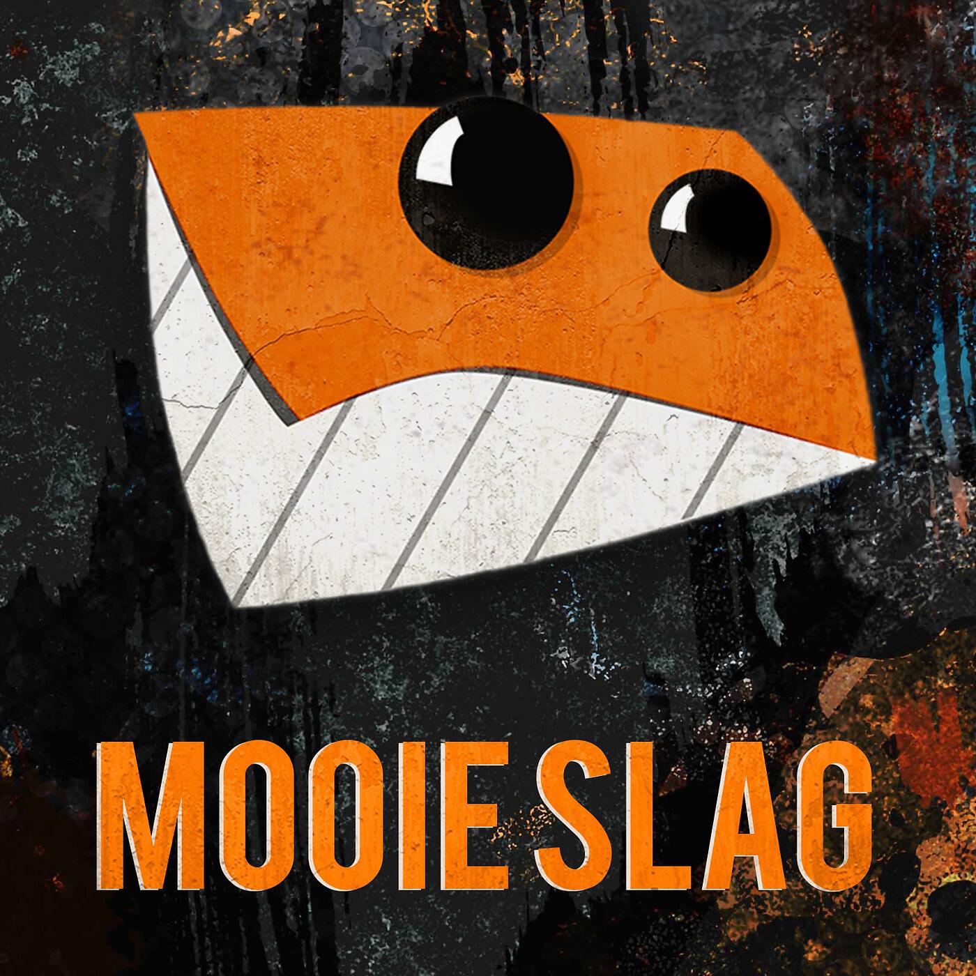 Релиз Mooie Slag