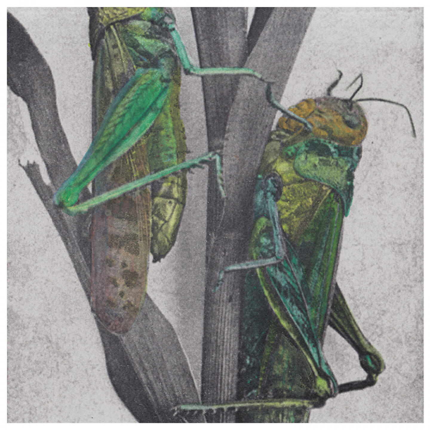 Релиз Souls Sliding